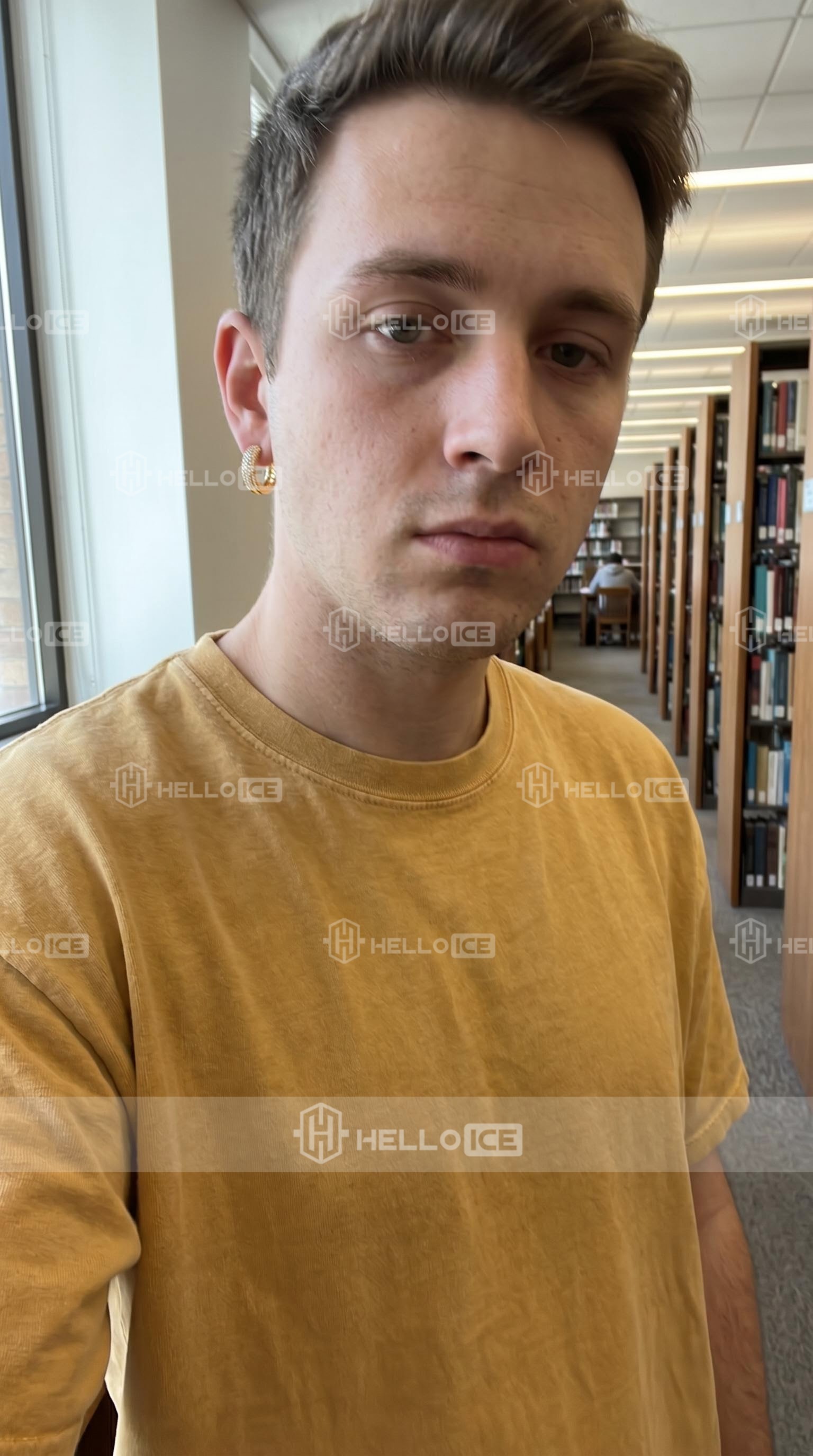 Helloice Review Image