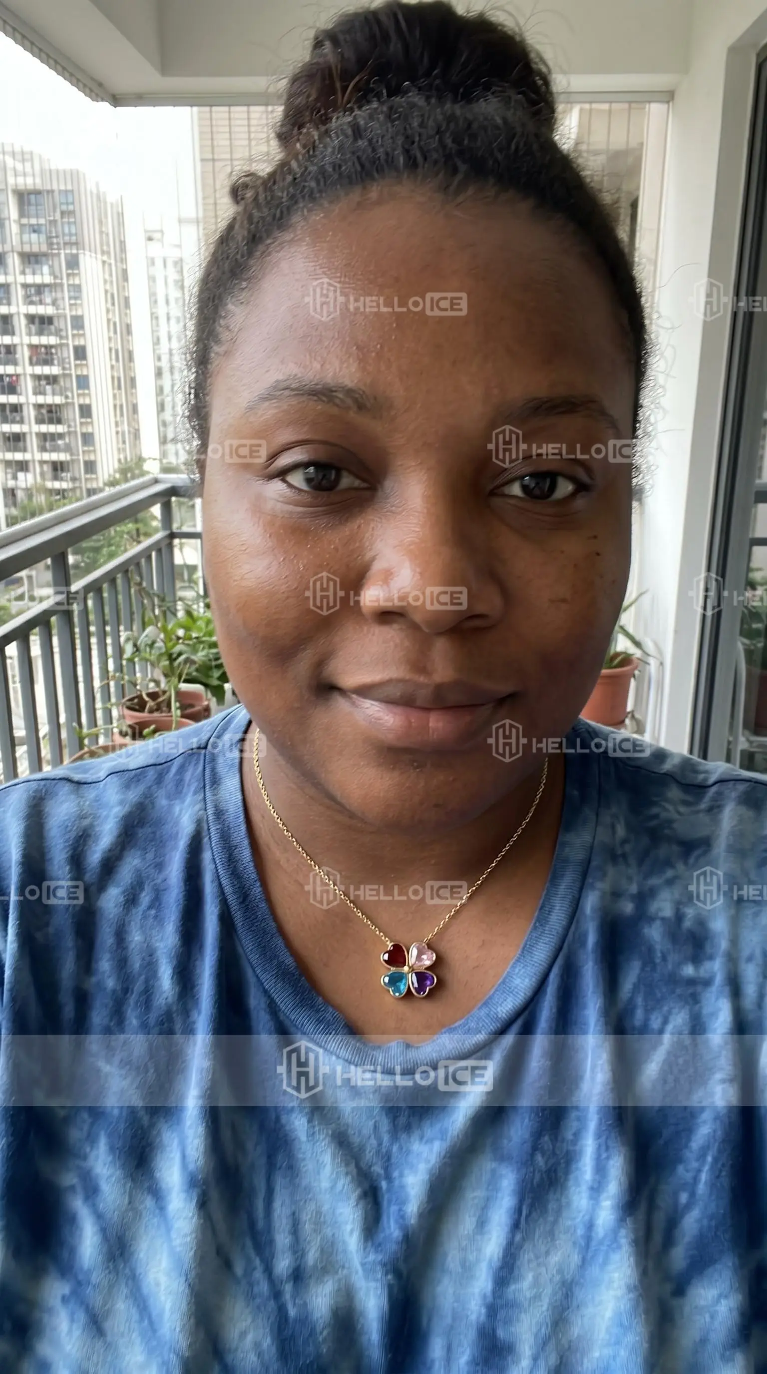 Helloice Review Image
