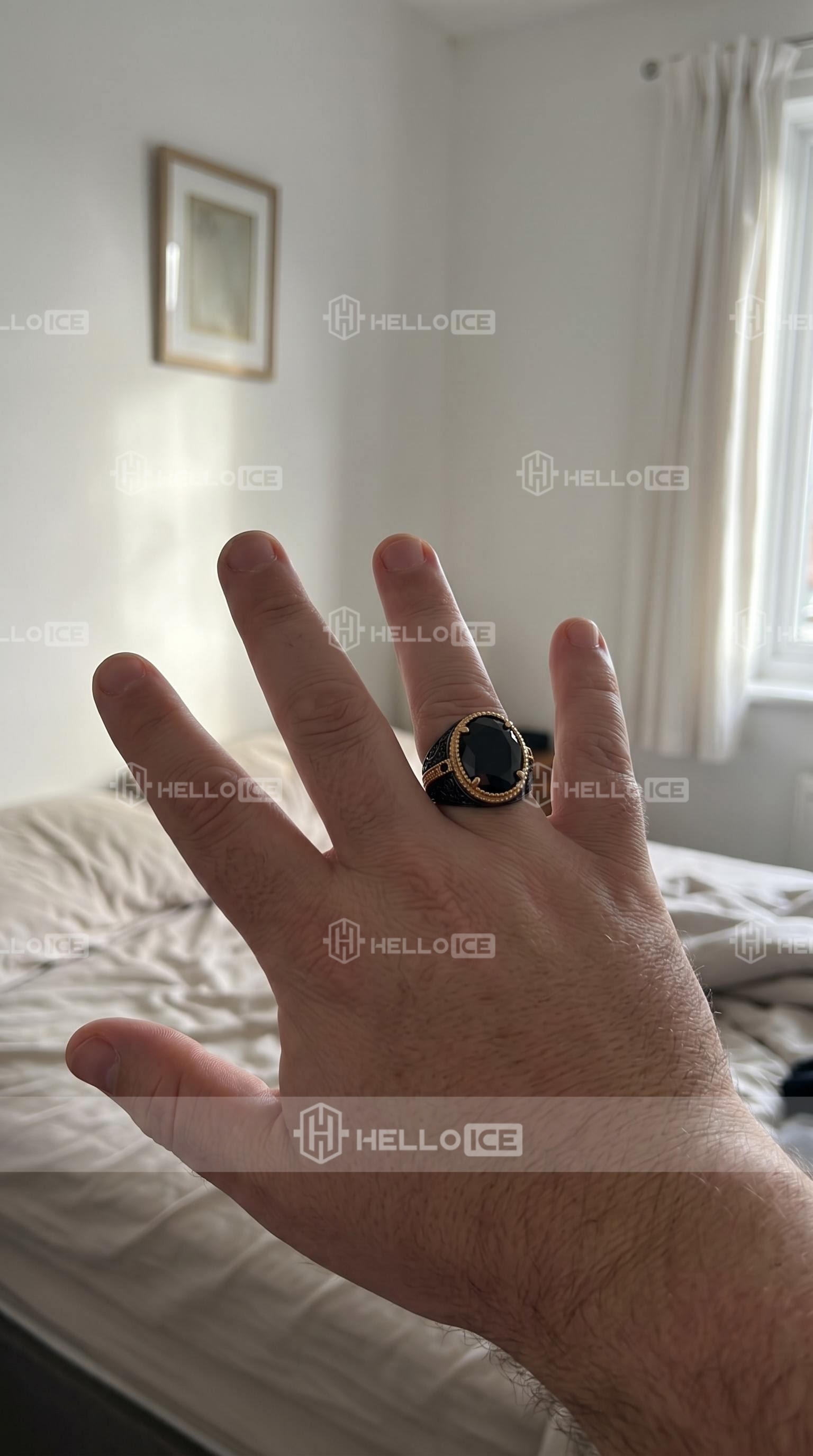 Helloice Review Image