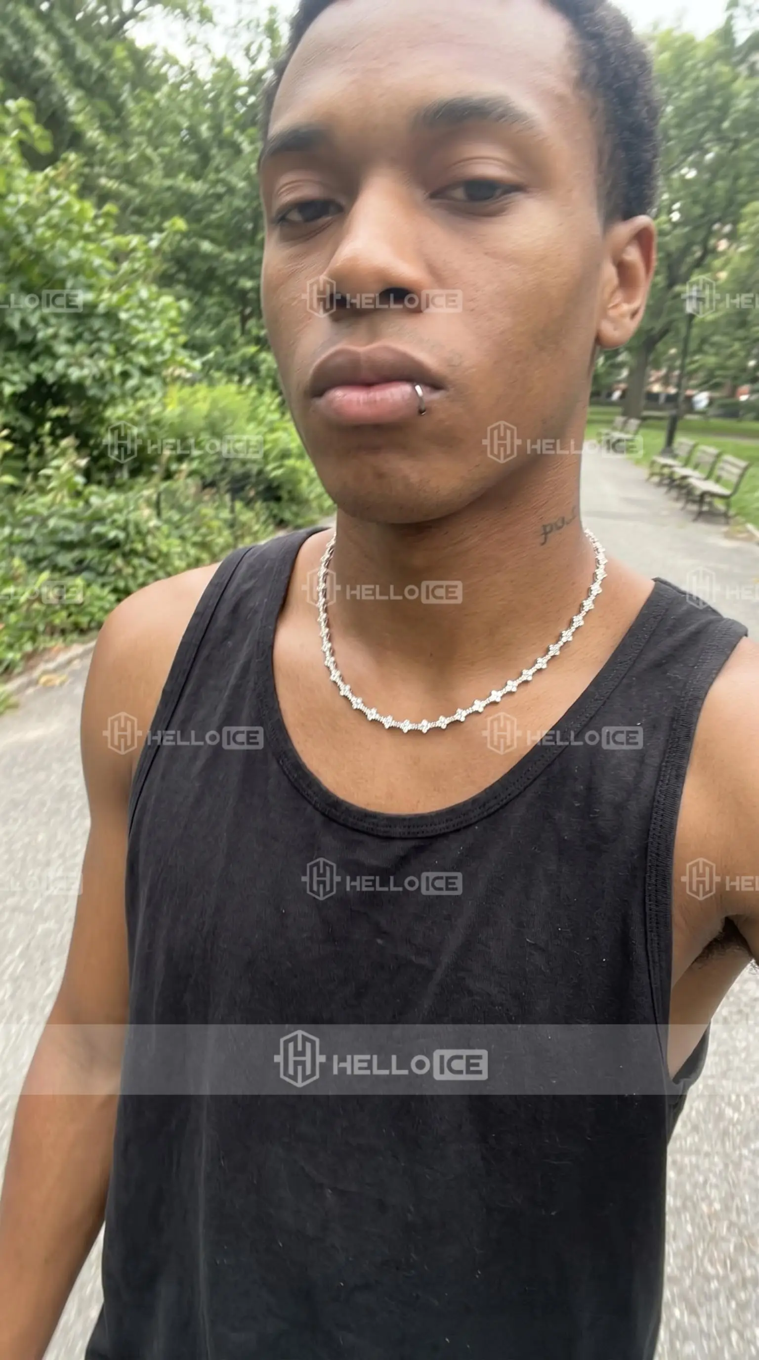 Helloice Review Image