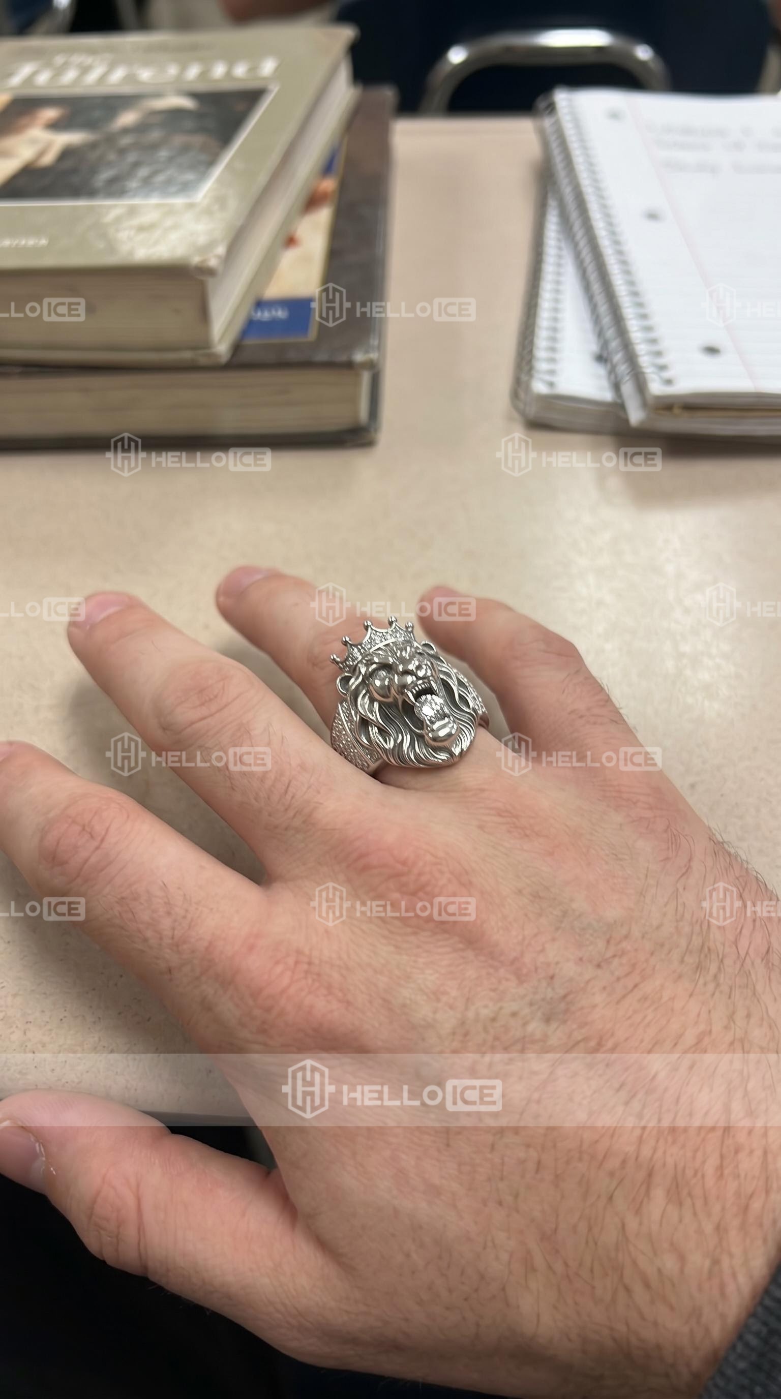 Helloice Review Image