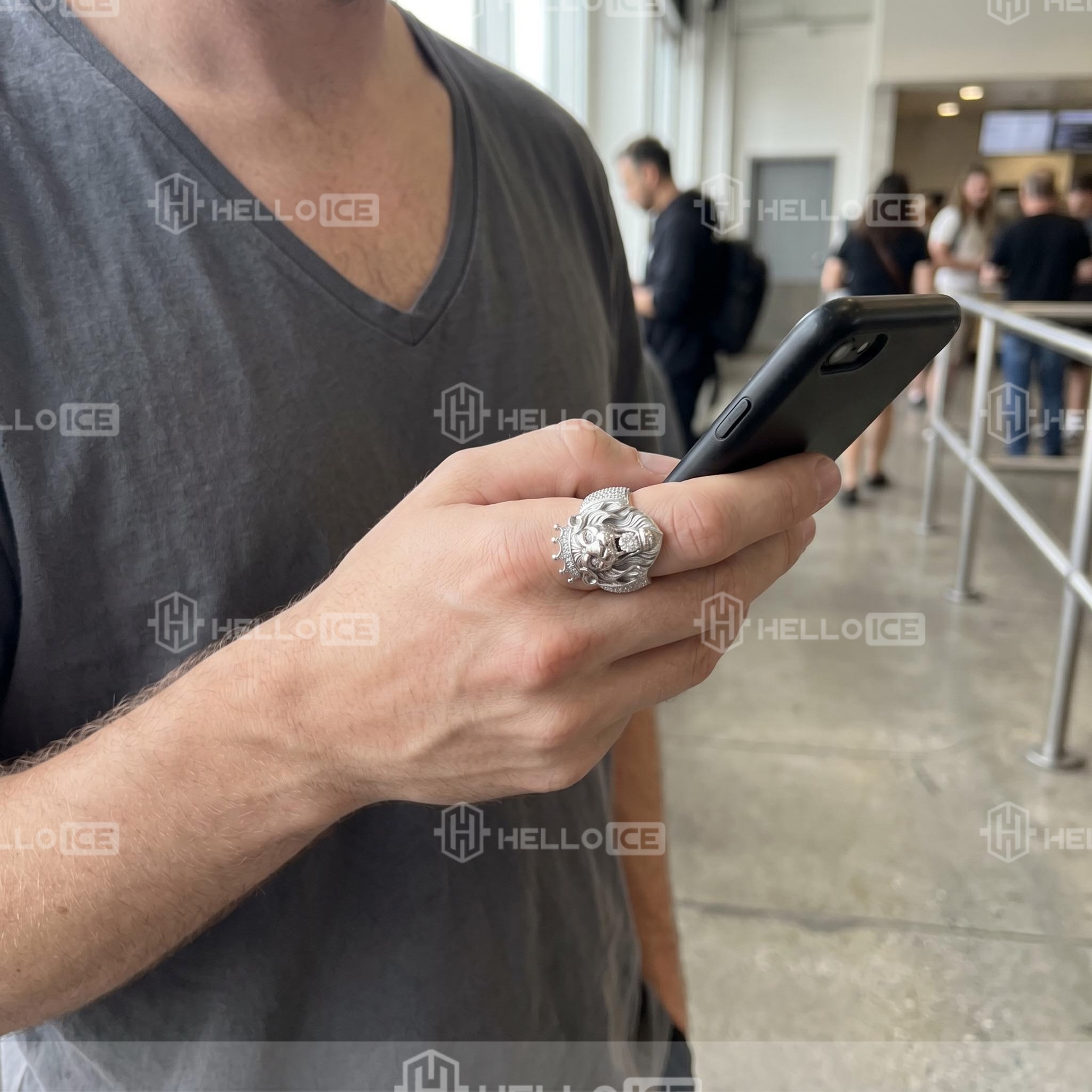 Helloice Review Image