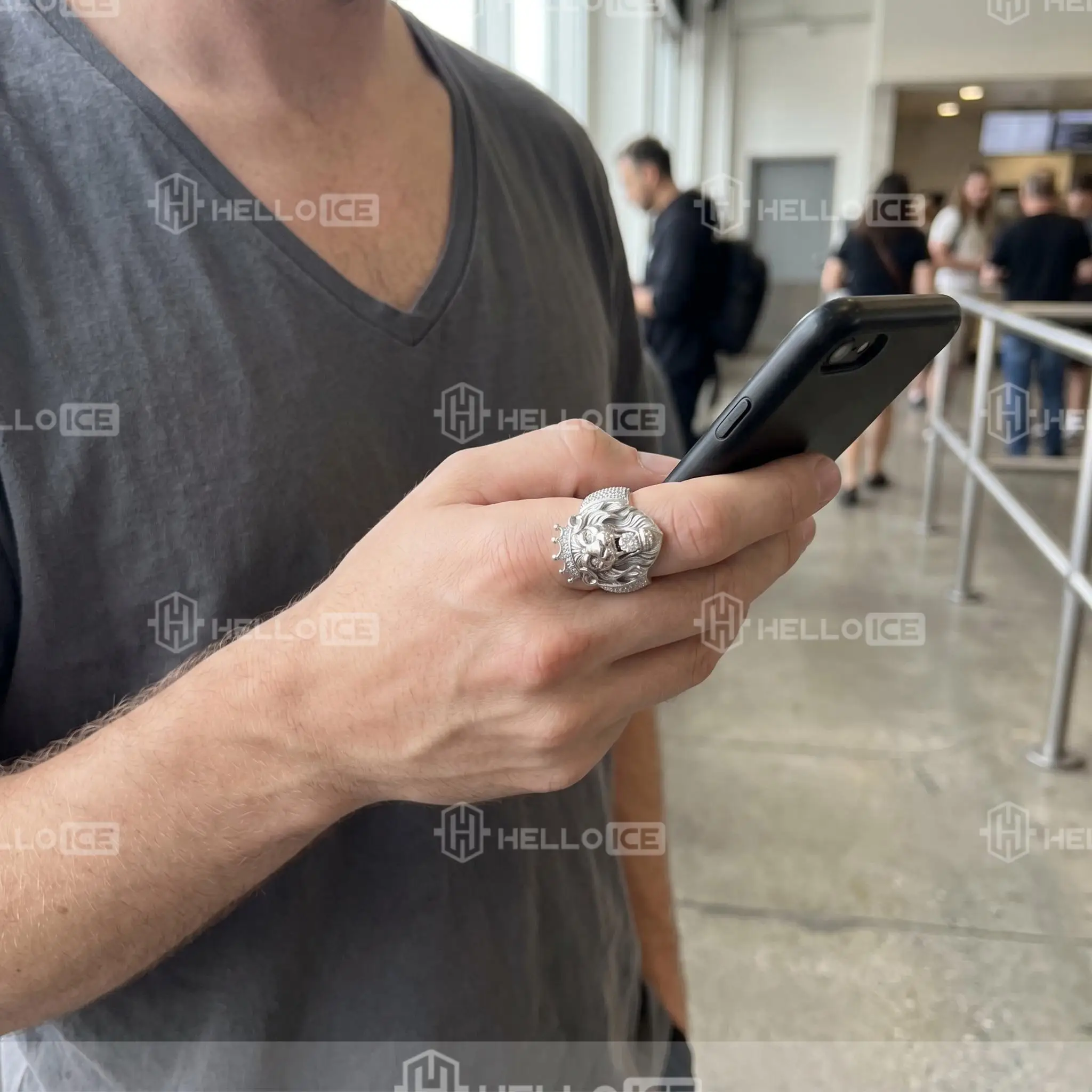 Helloice Review Image