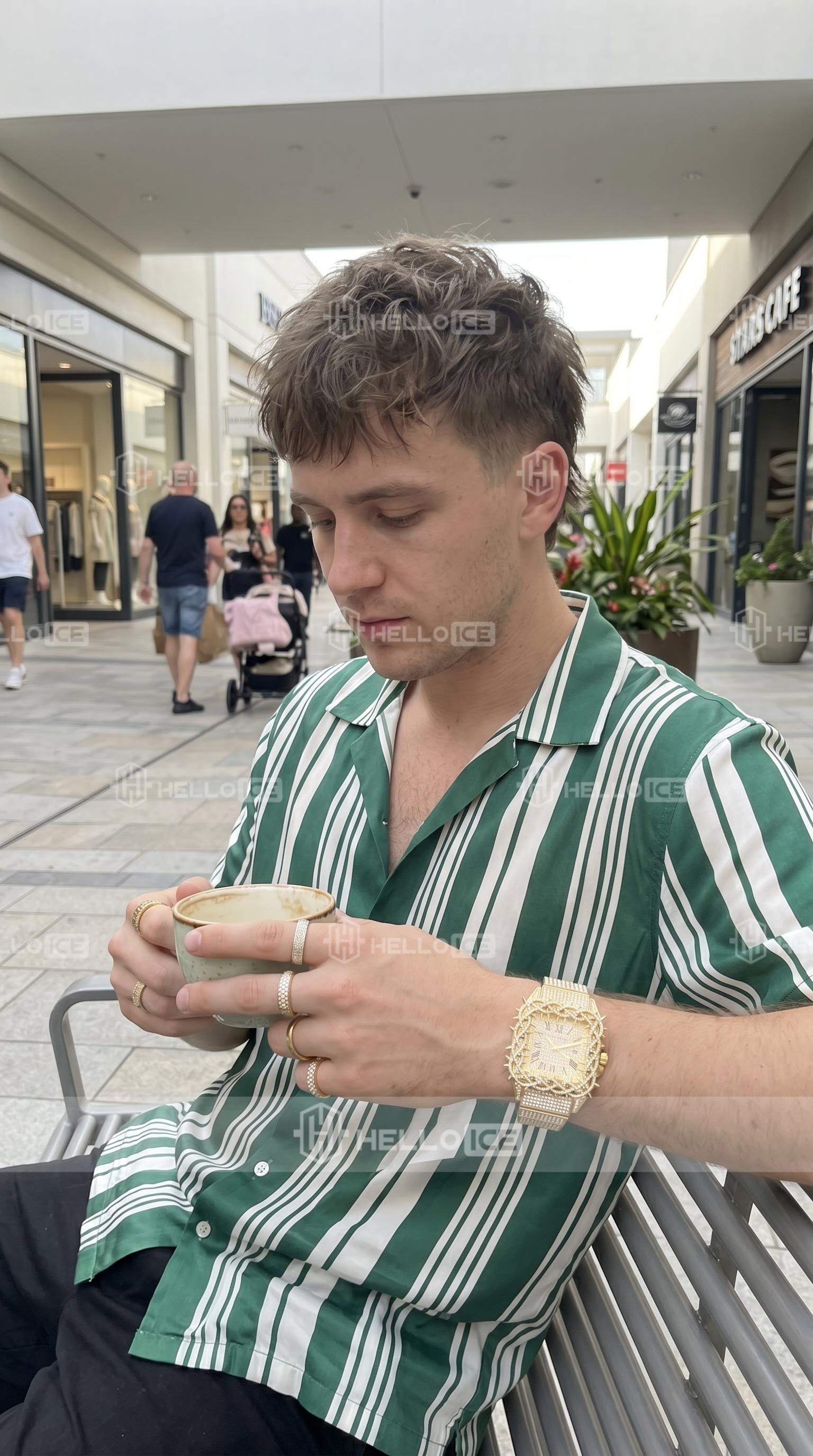 Helloice Review Image