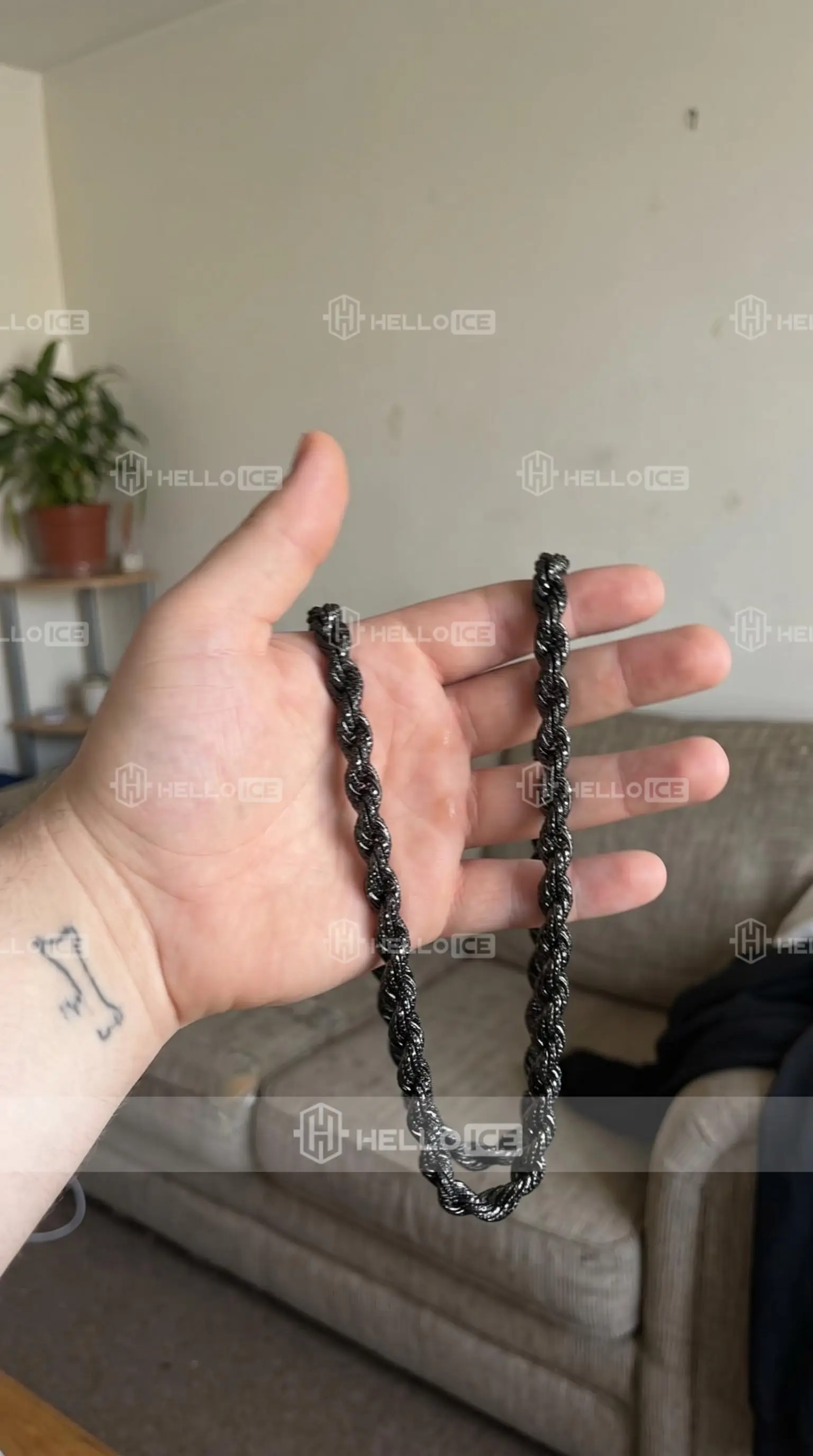 Helloice Review Image
