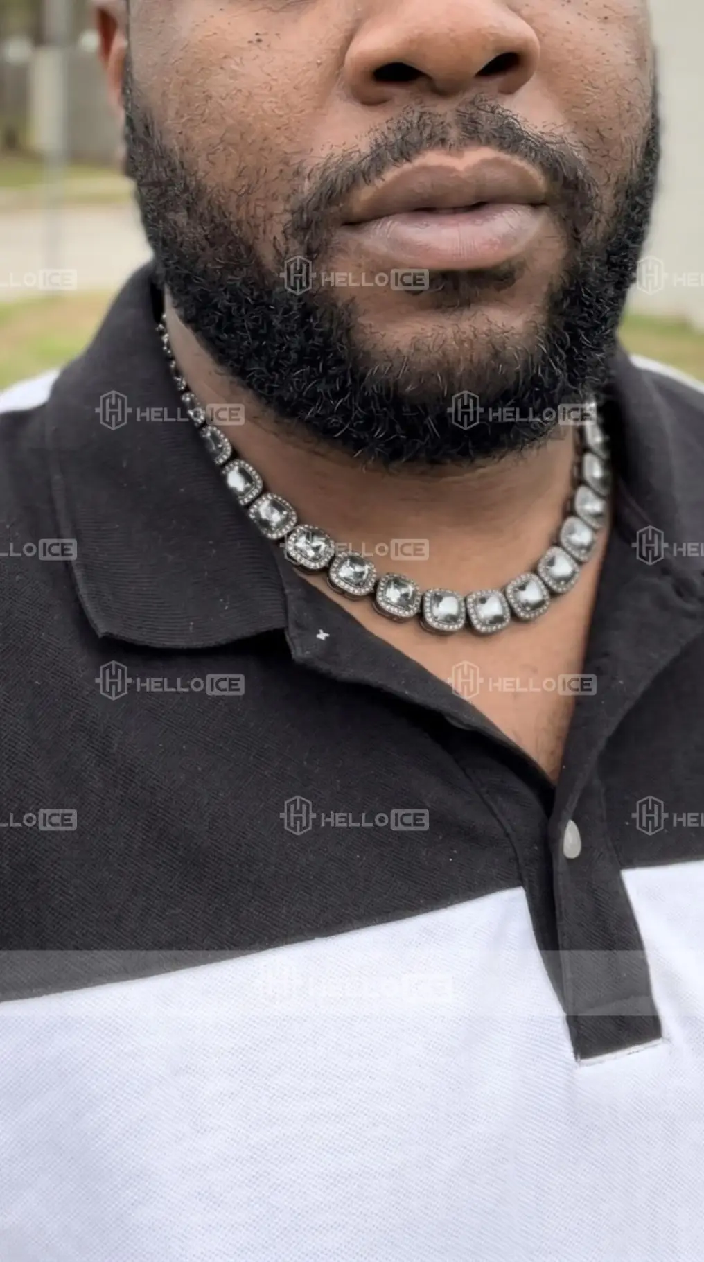 Helloice Review Image