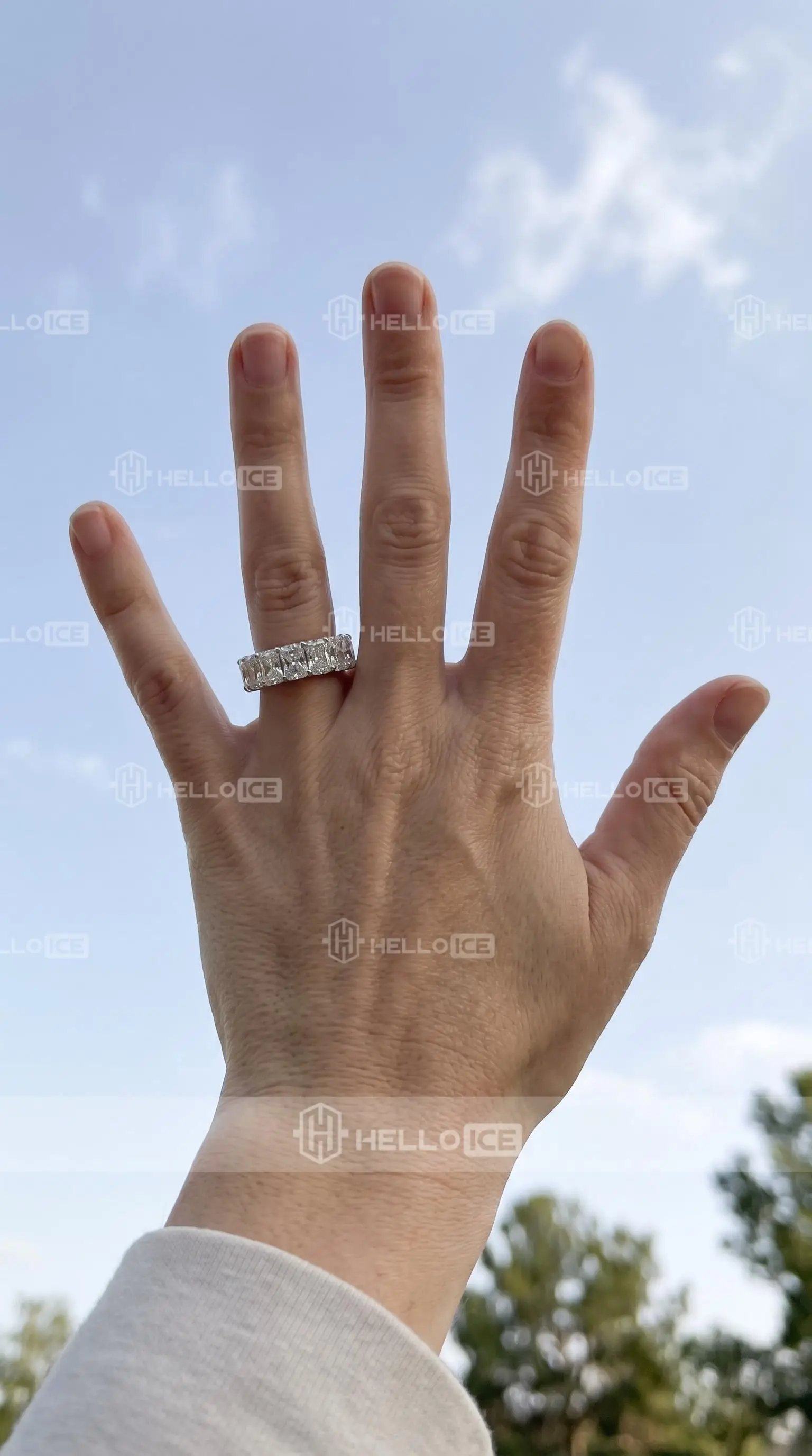 Helloice Review Image