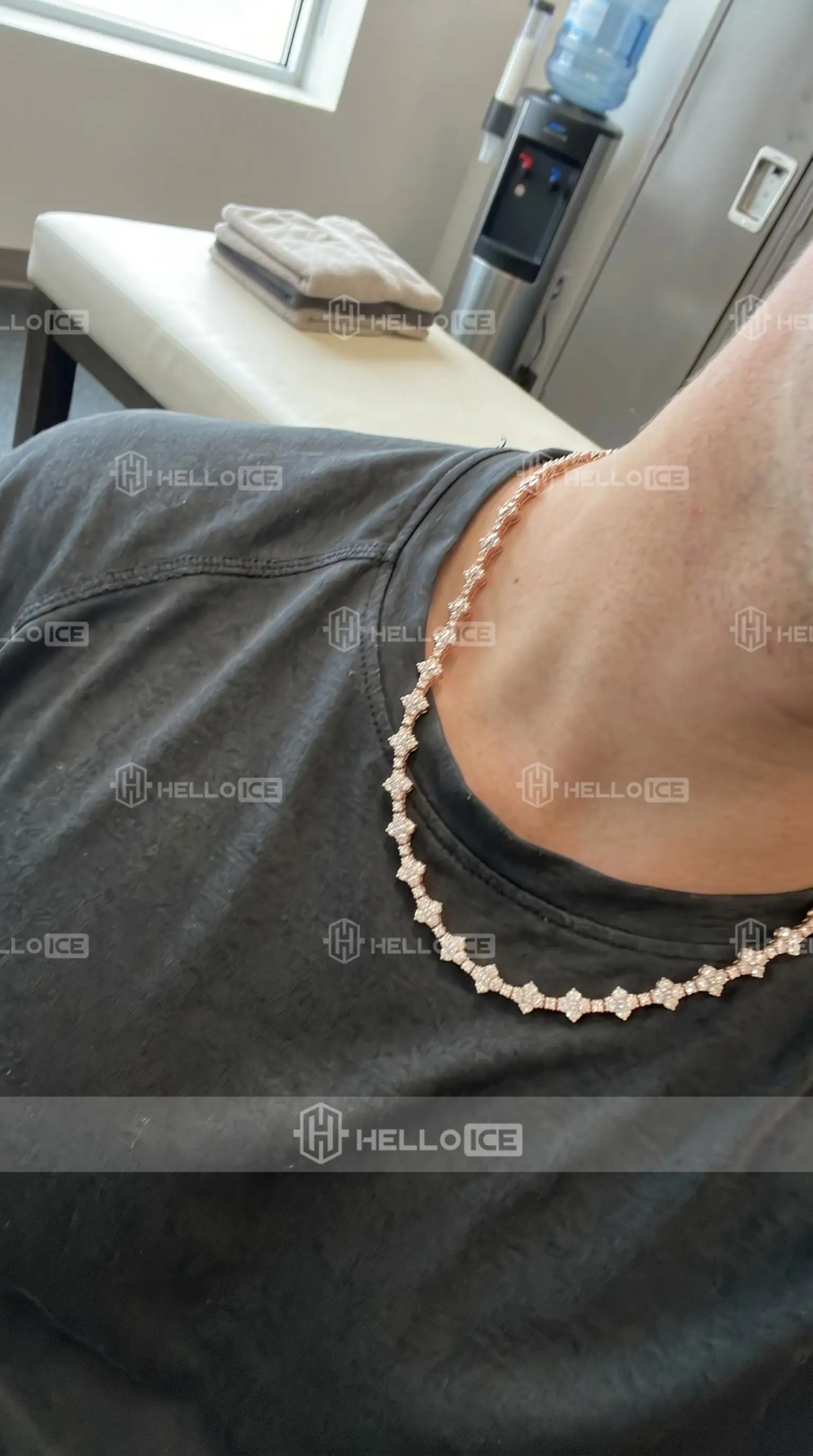 Helloice Review Image