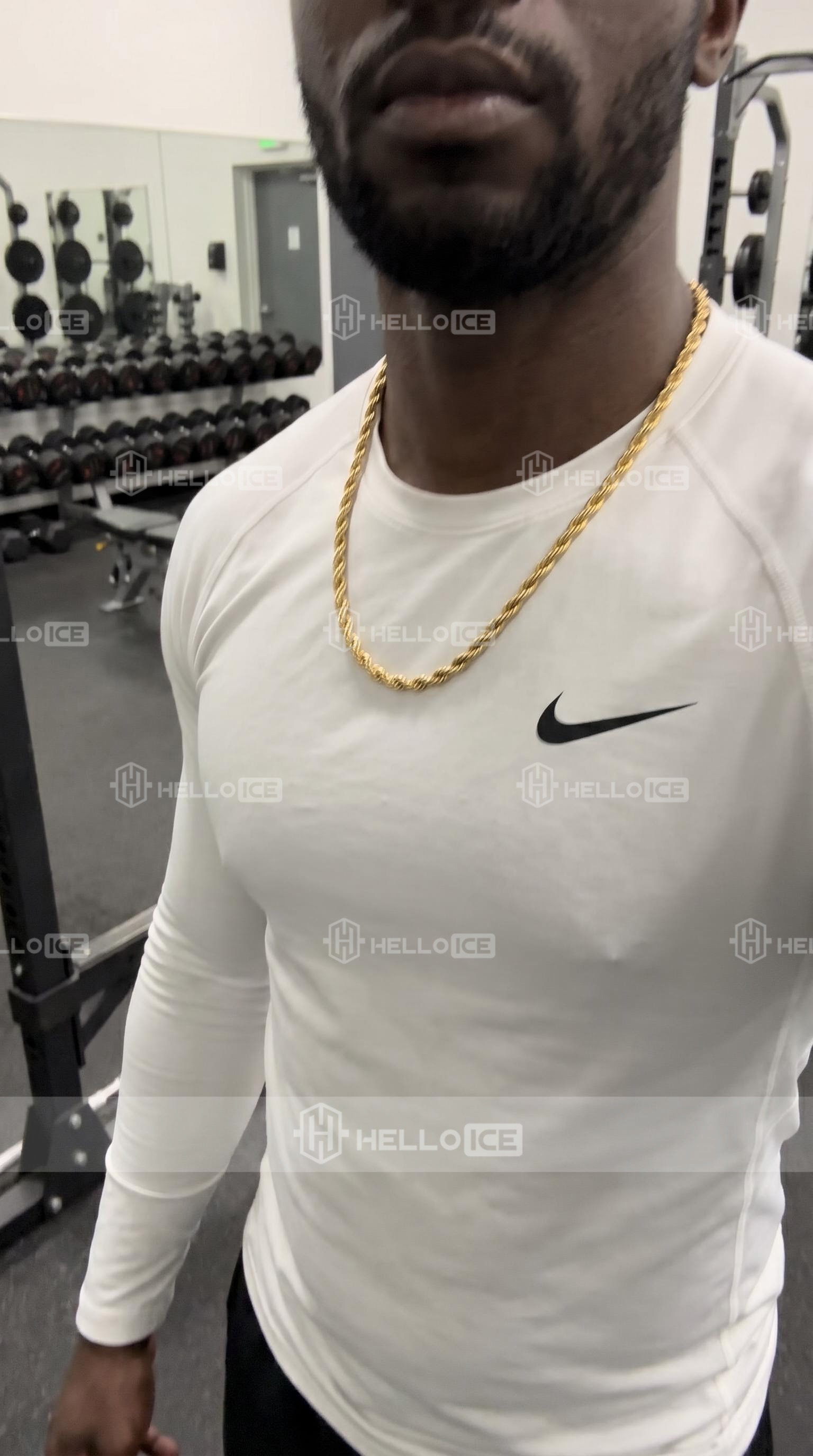 Helloice Review Image