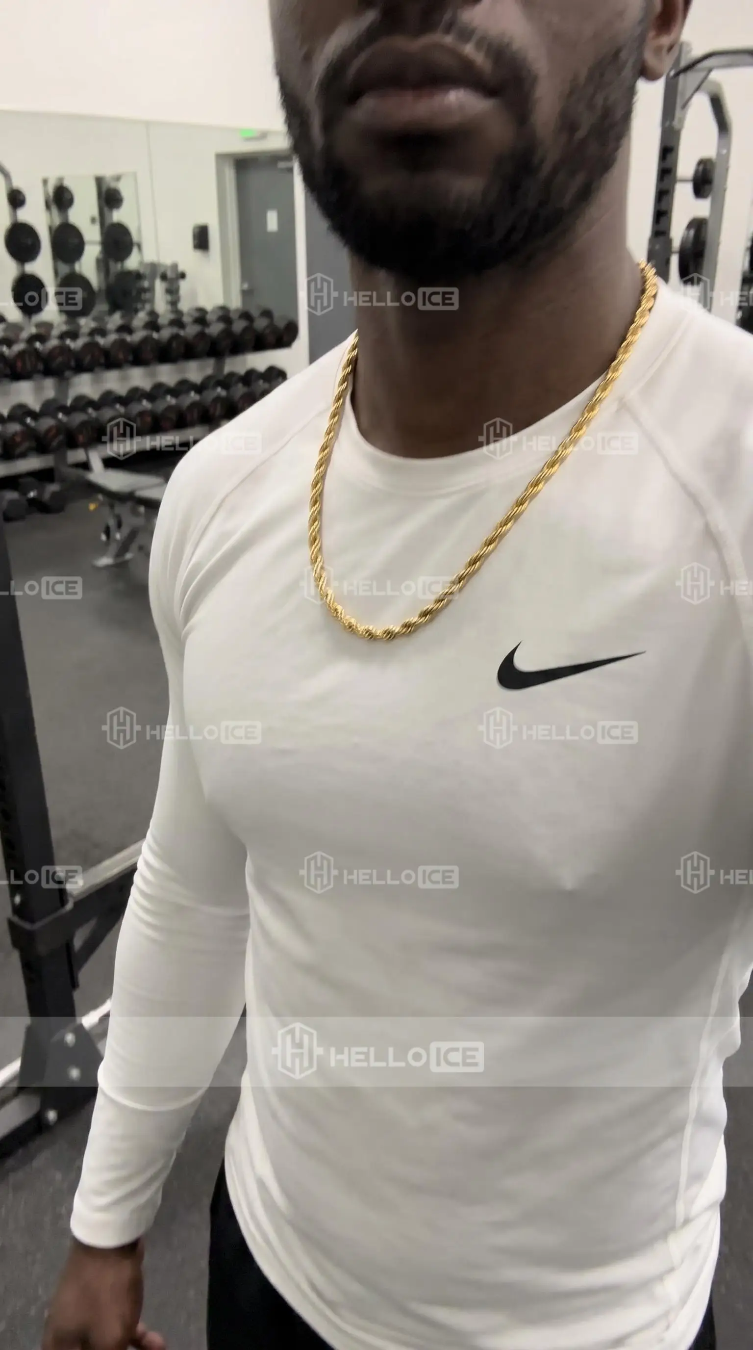 Helloice Review Image
