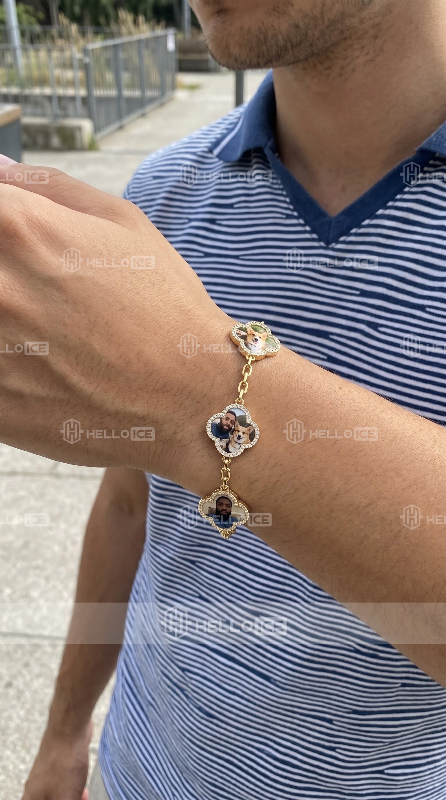 Helloice Review Image