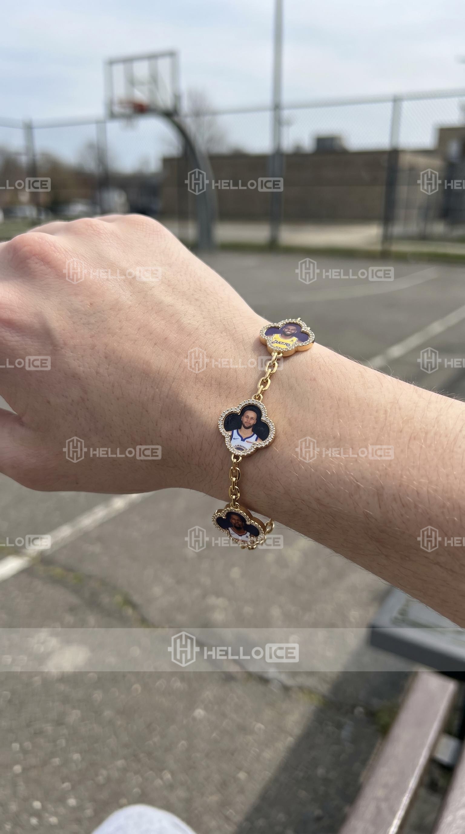 Helloice Review Image