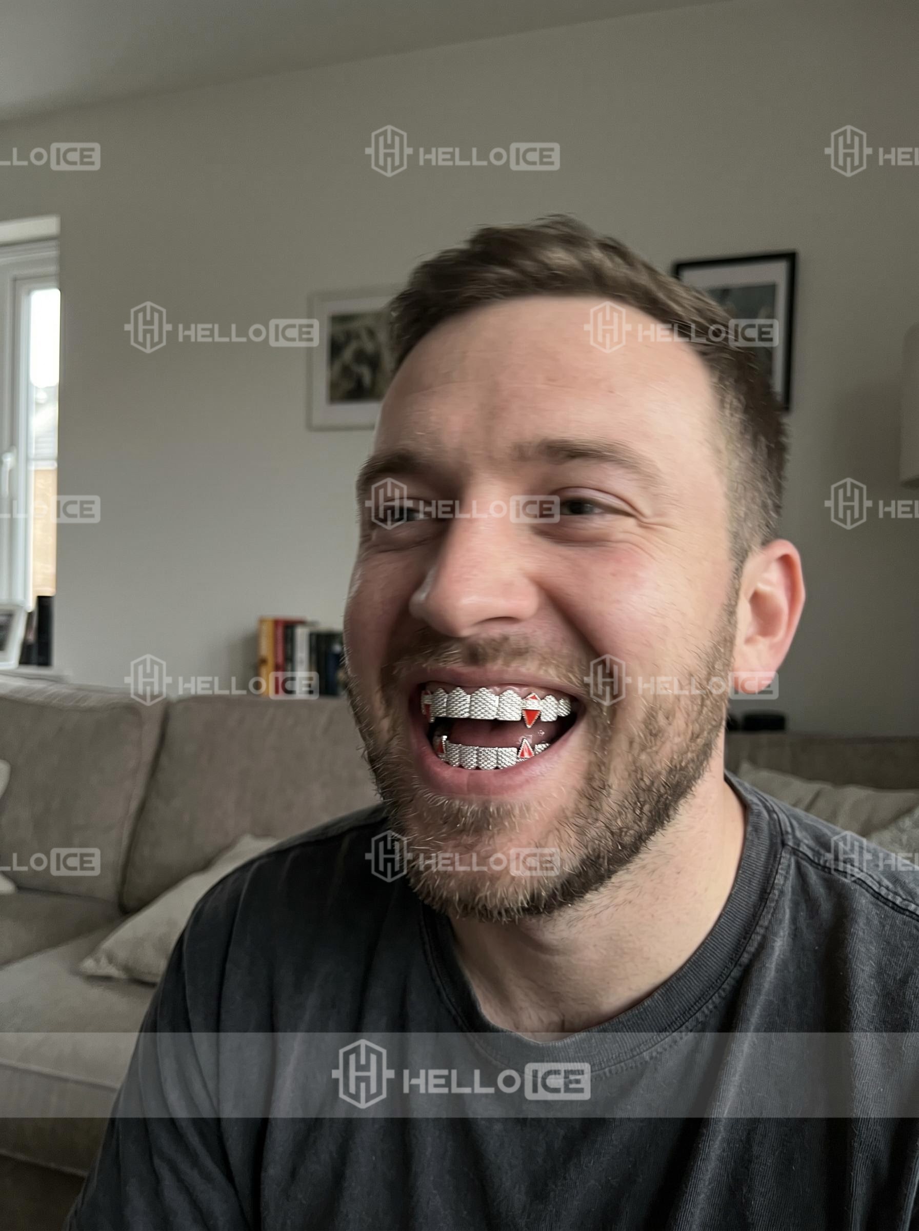 Helloice Review Image