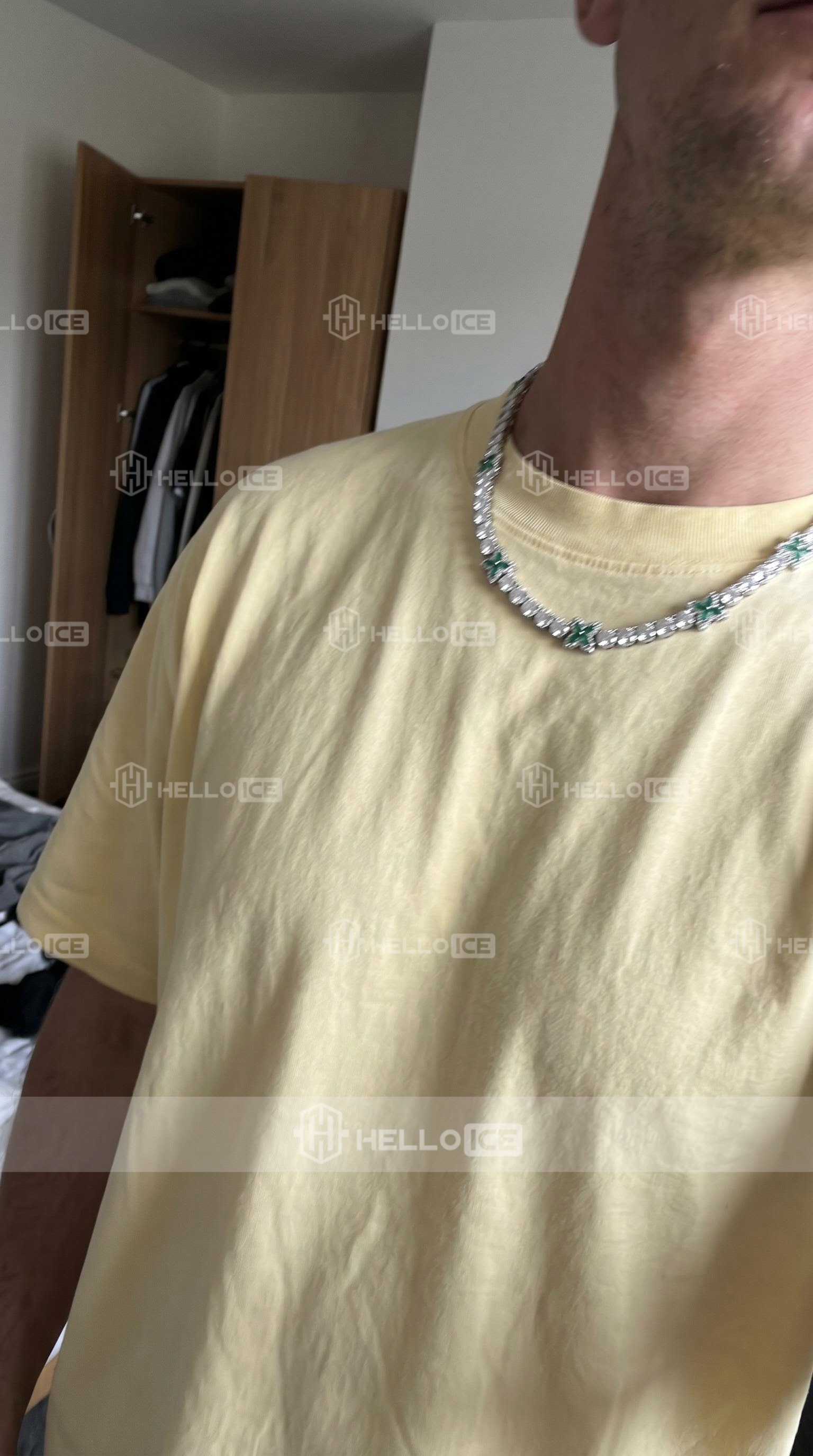 Helloice Review Image