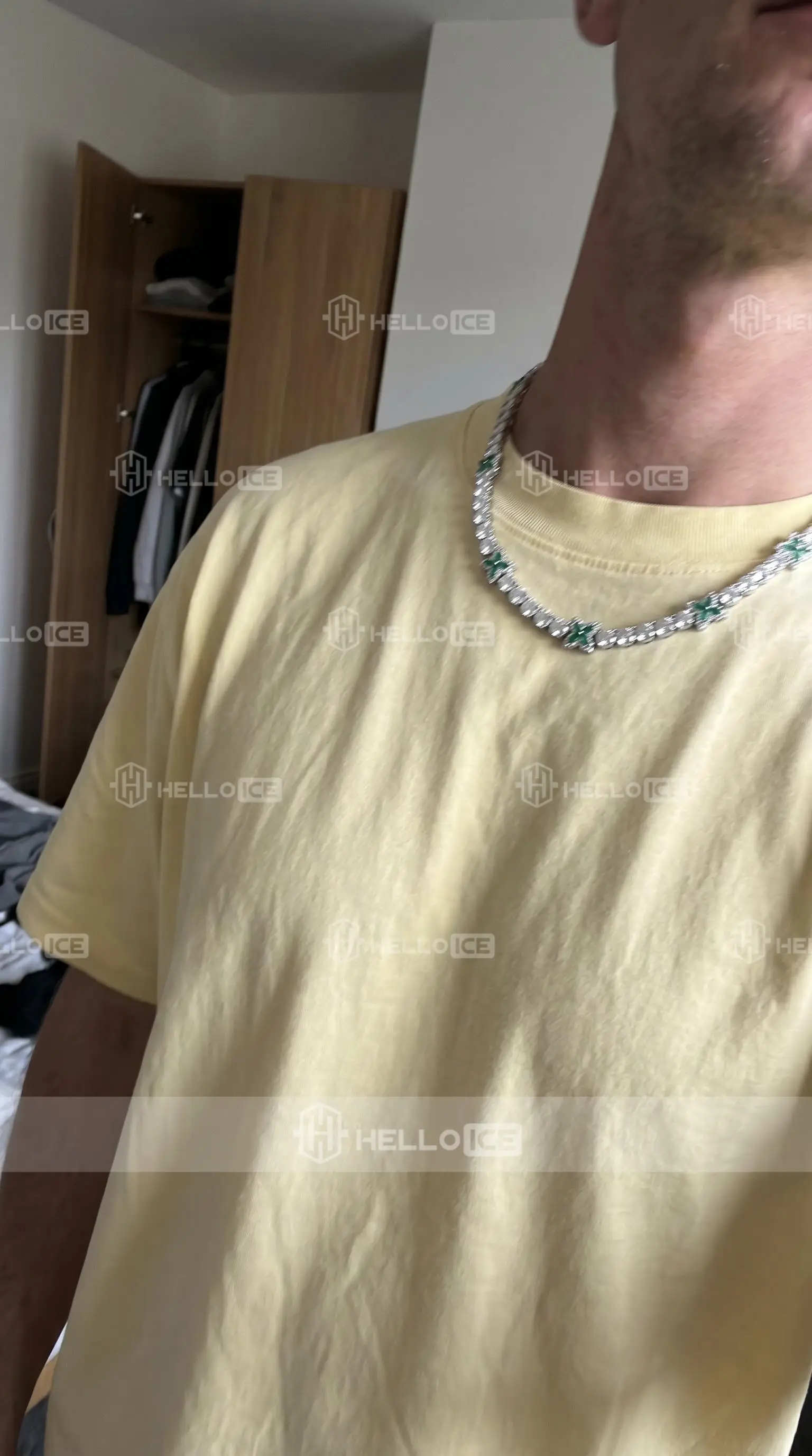 Helloice Review Image