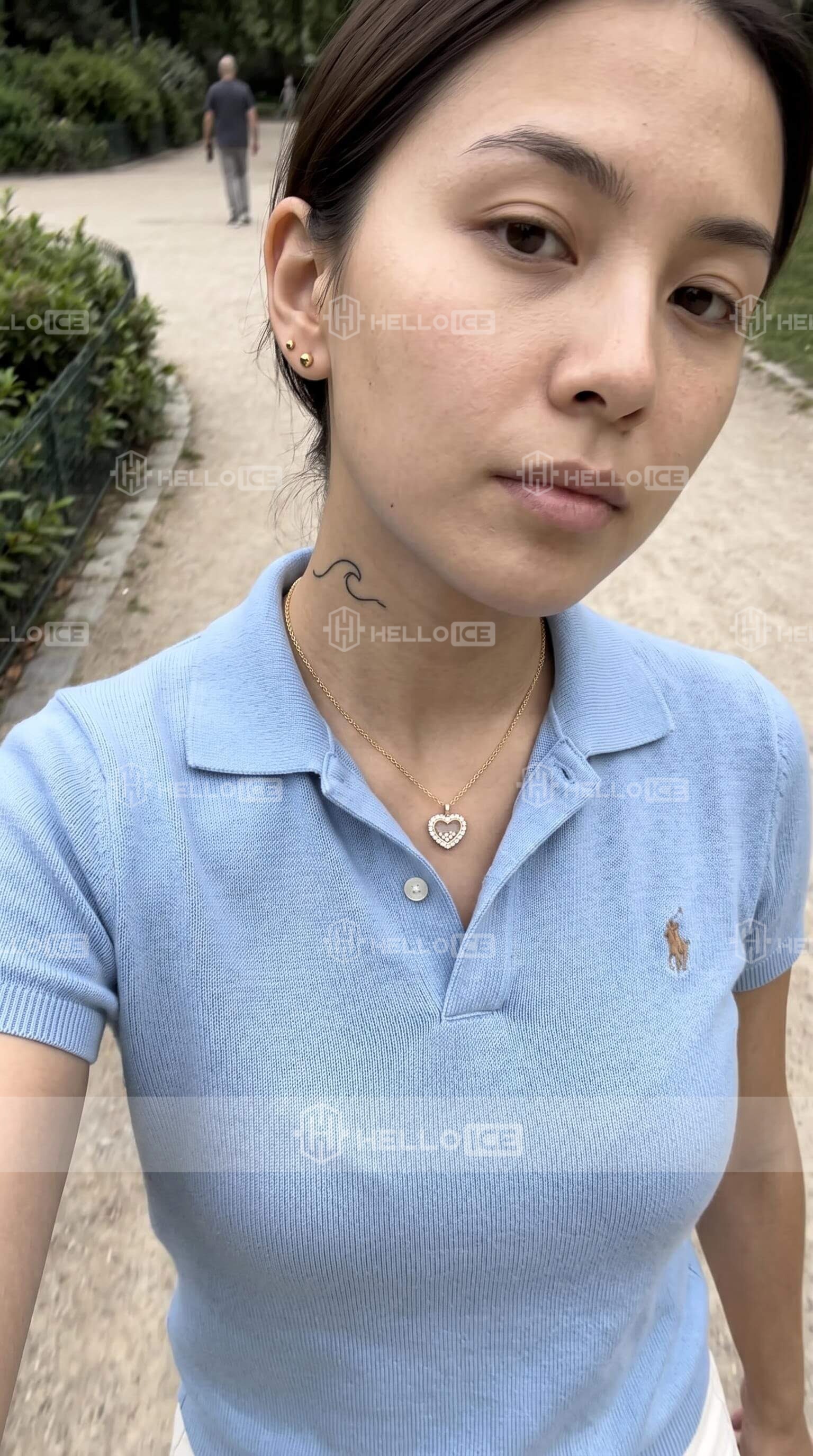 Helloice Review Image