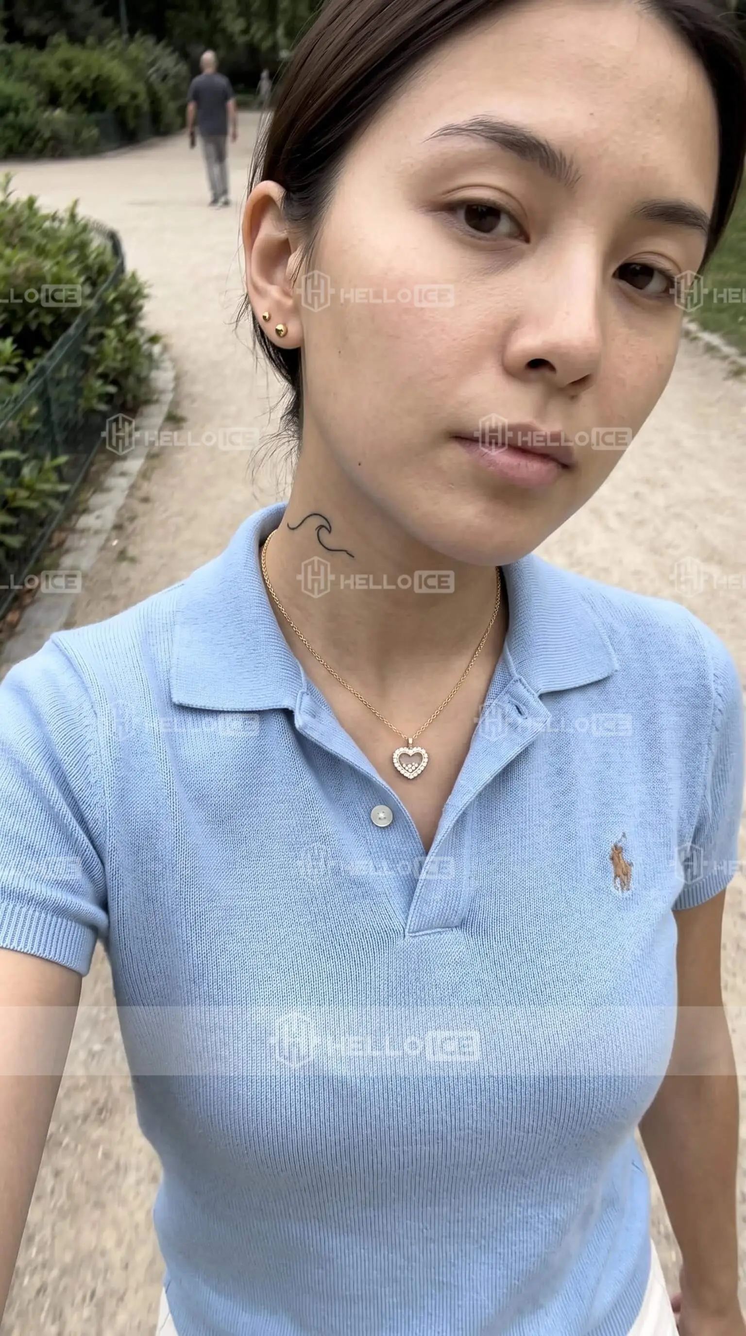 Helloice Review Image