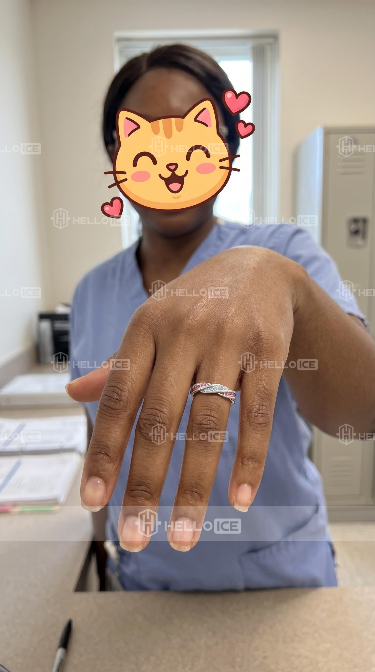 Helloice Review Image