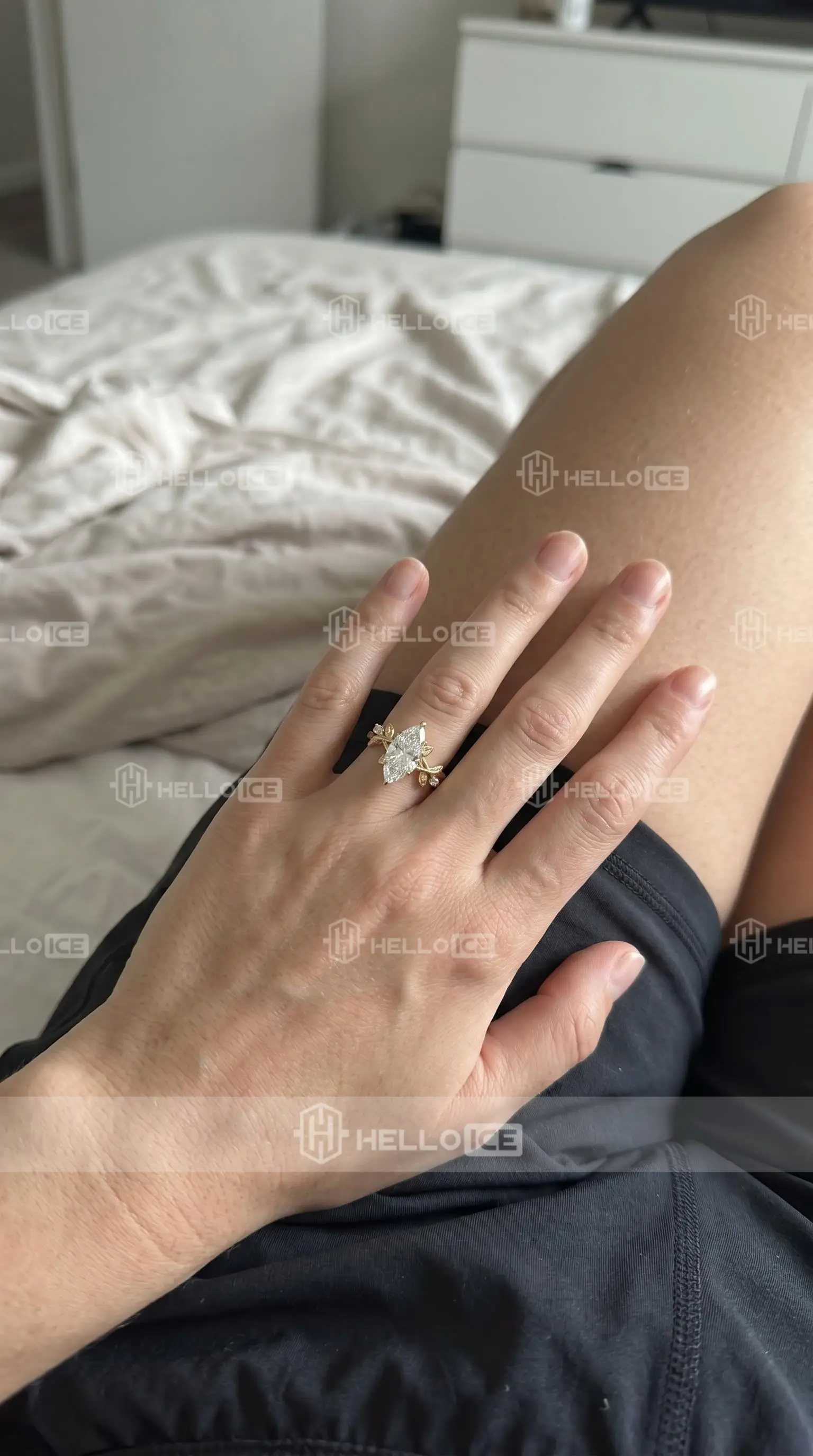 Helloice Review Image