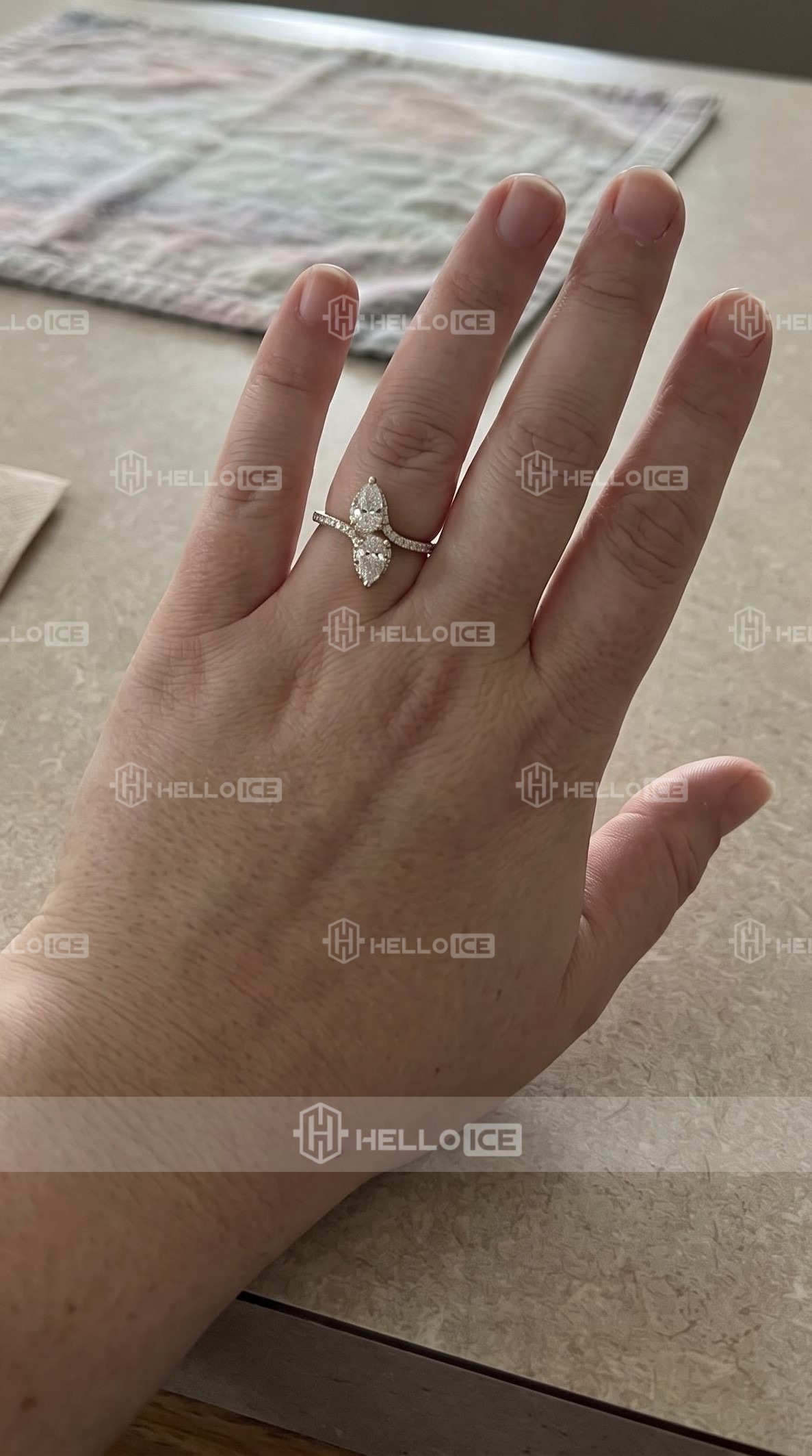 Helloice Review Image