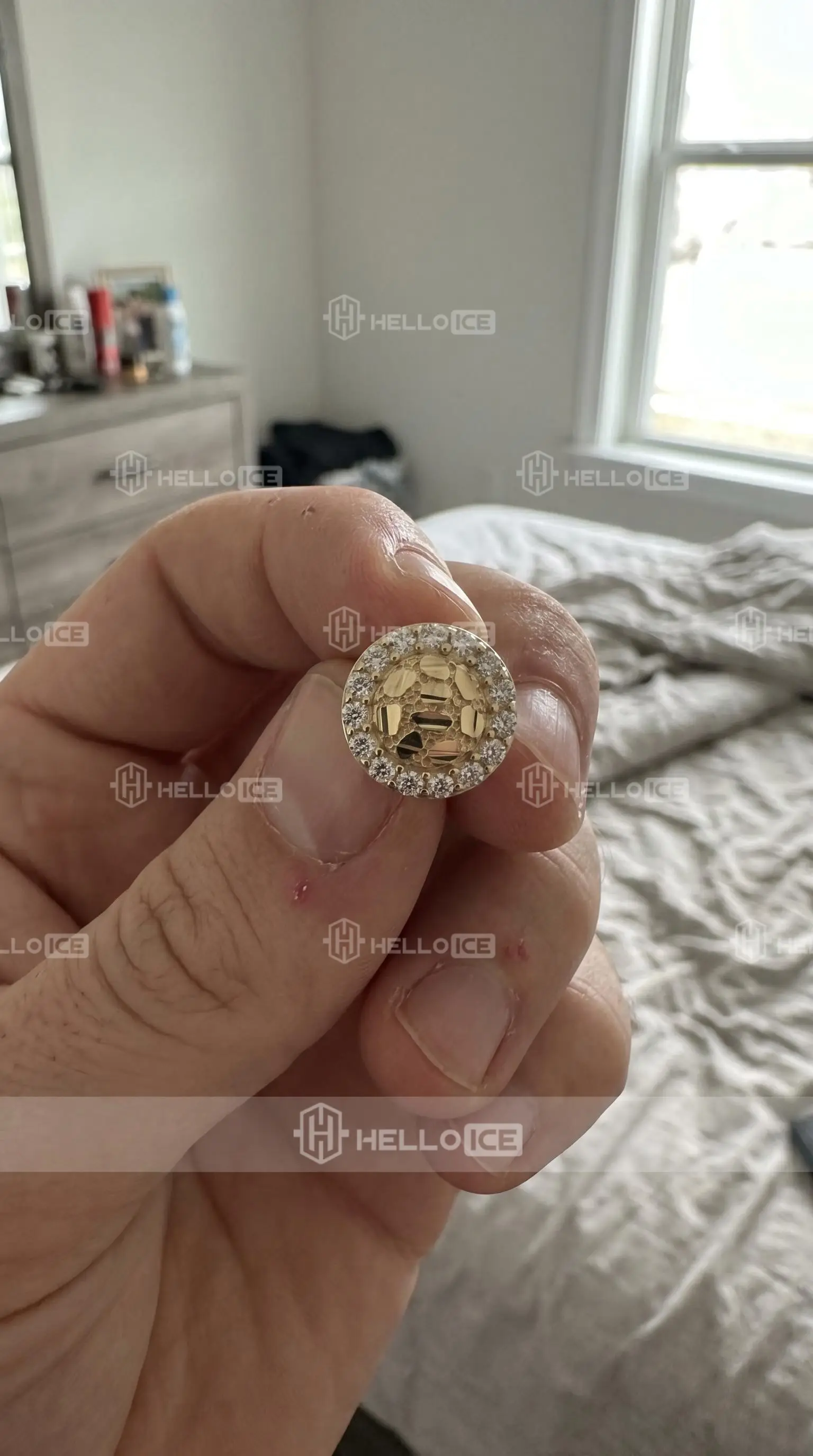 Helloice Review Image