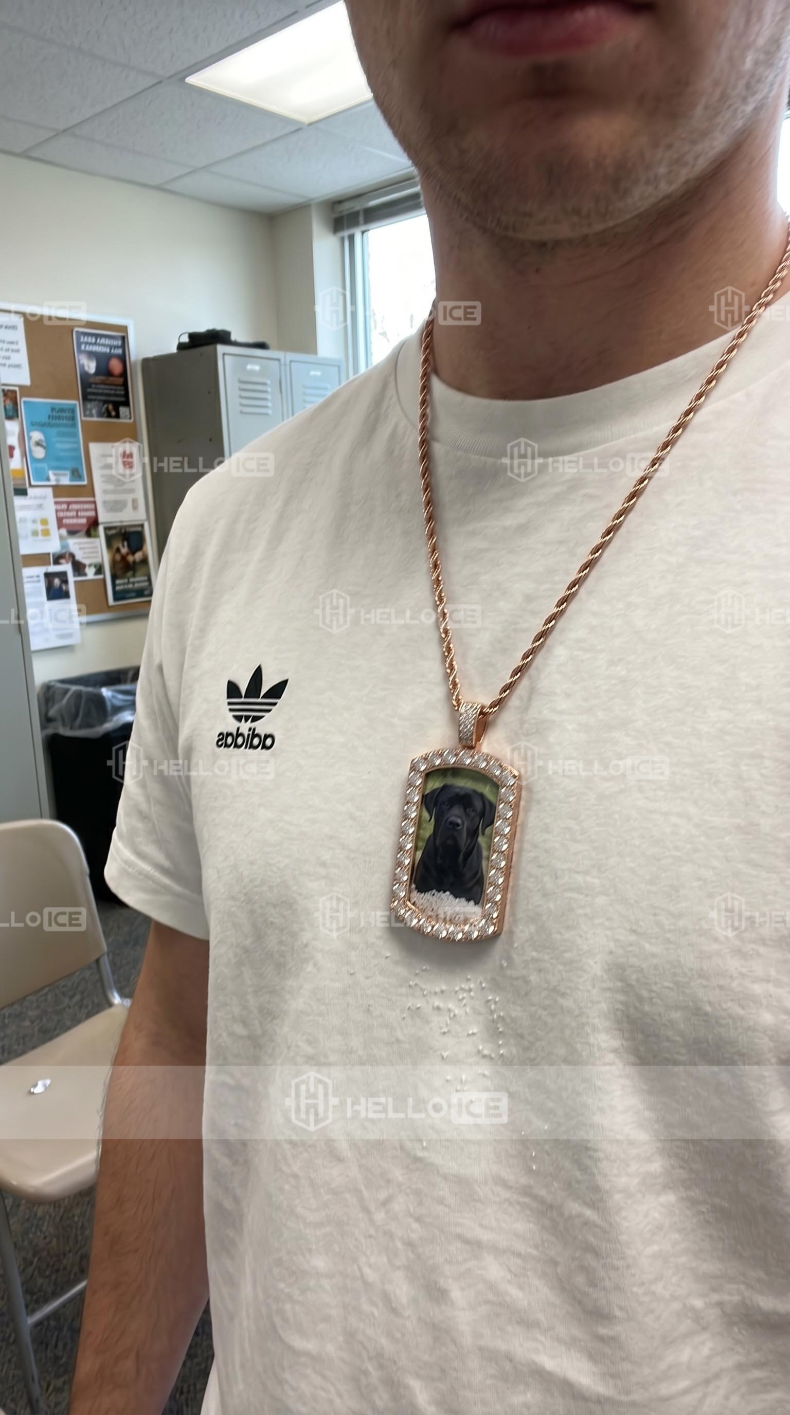 Helloice Review Image