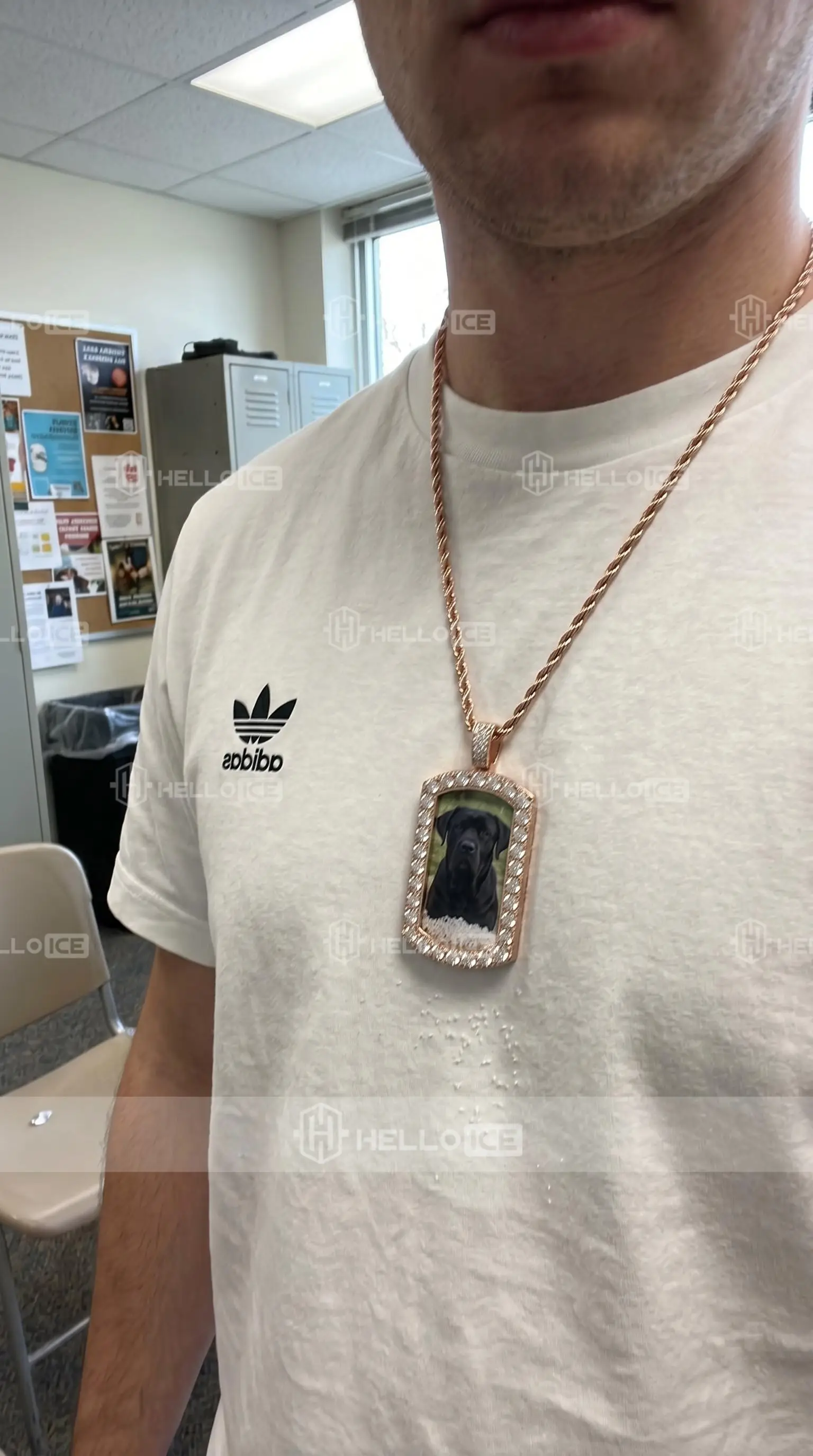 Helloice Review Image