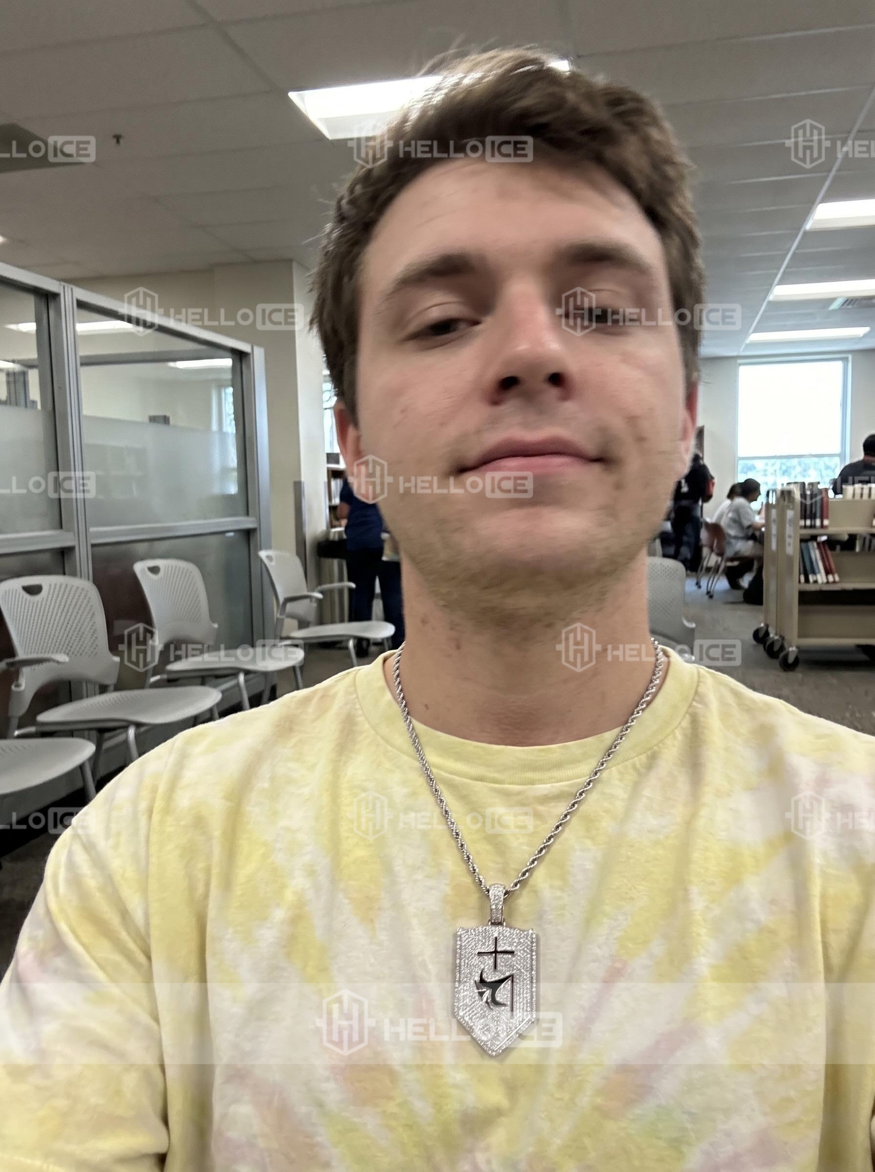 Helloice Review Image