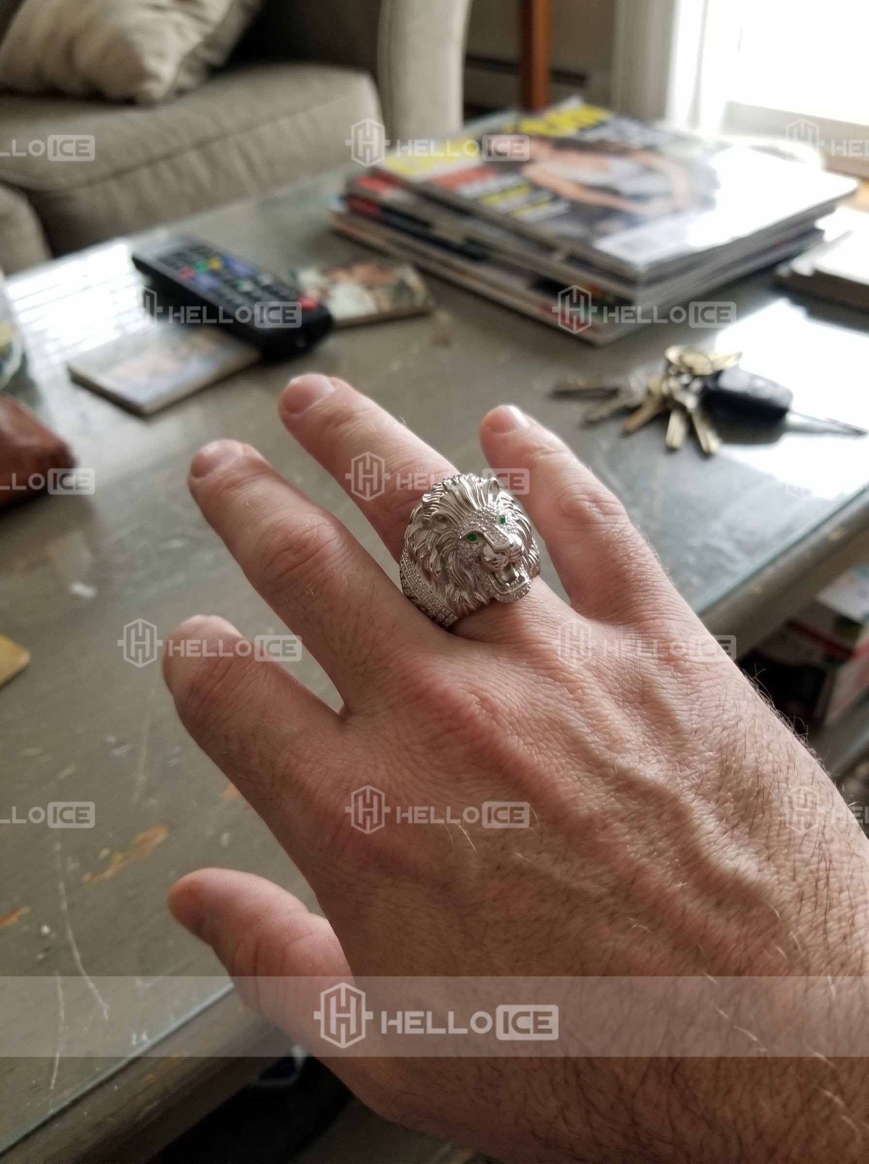 Helloice Review Image