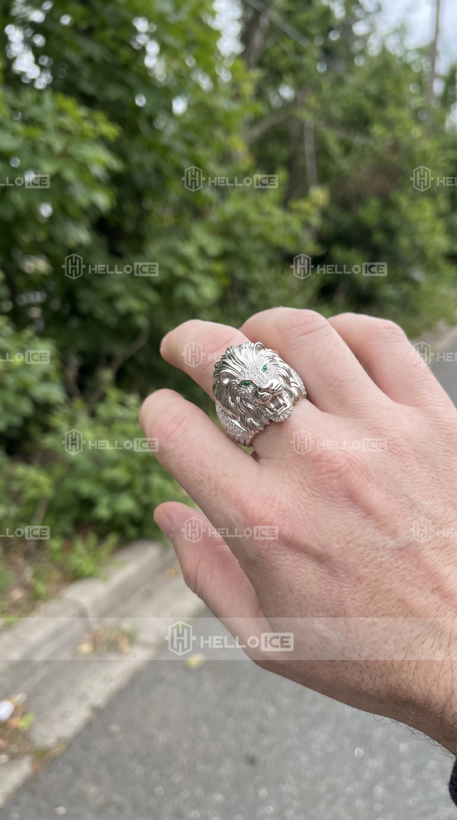 Helloice Review Image