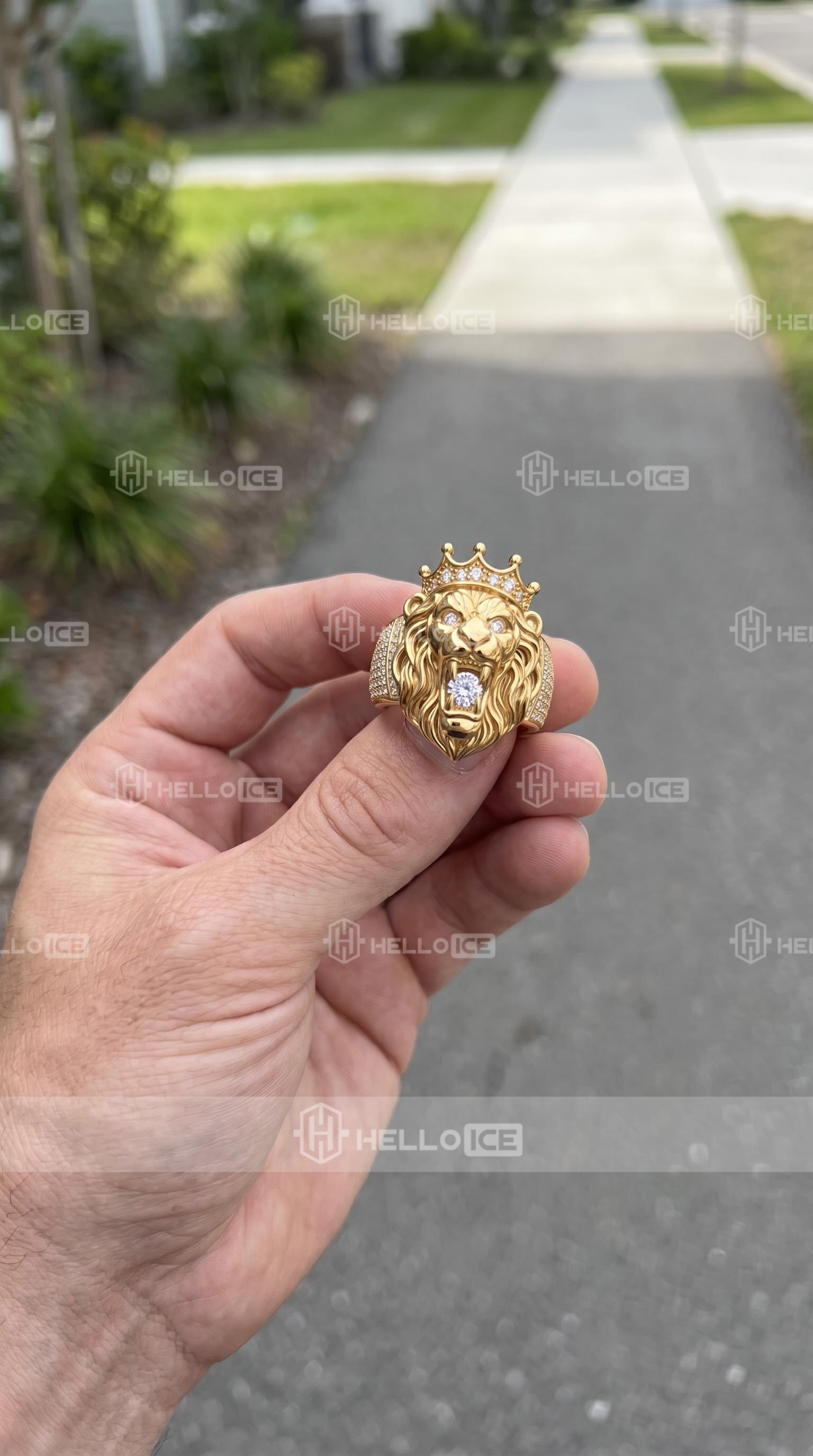 Helloice Review Image
