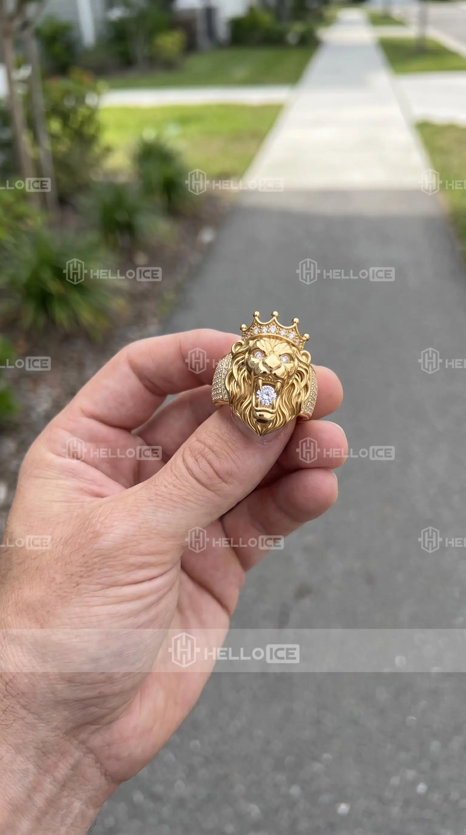 Helloice Review Image