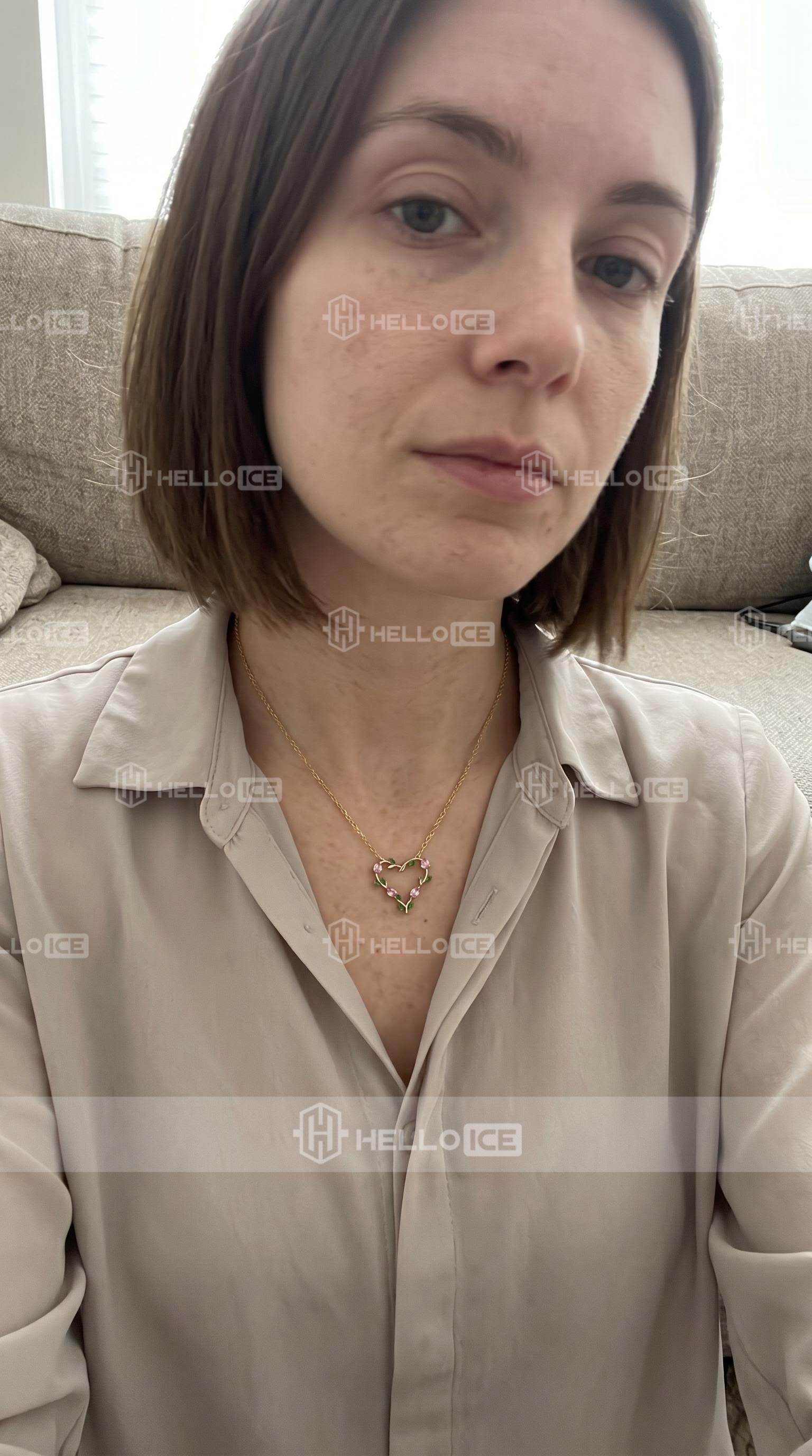 Helloice Review Image