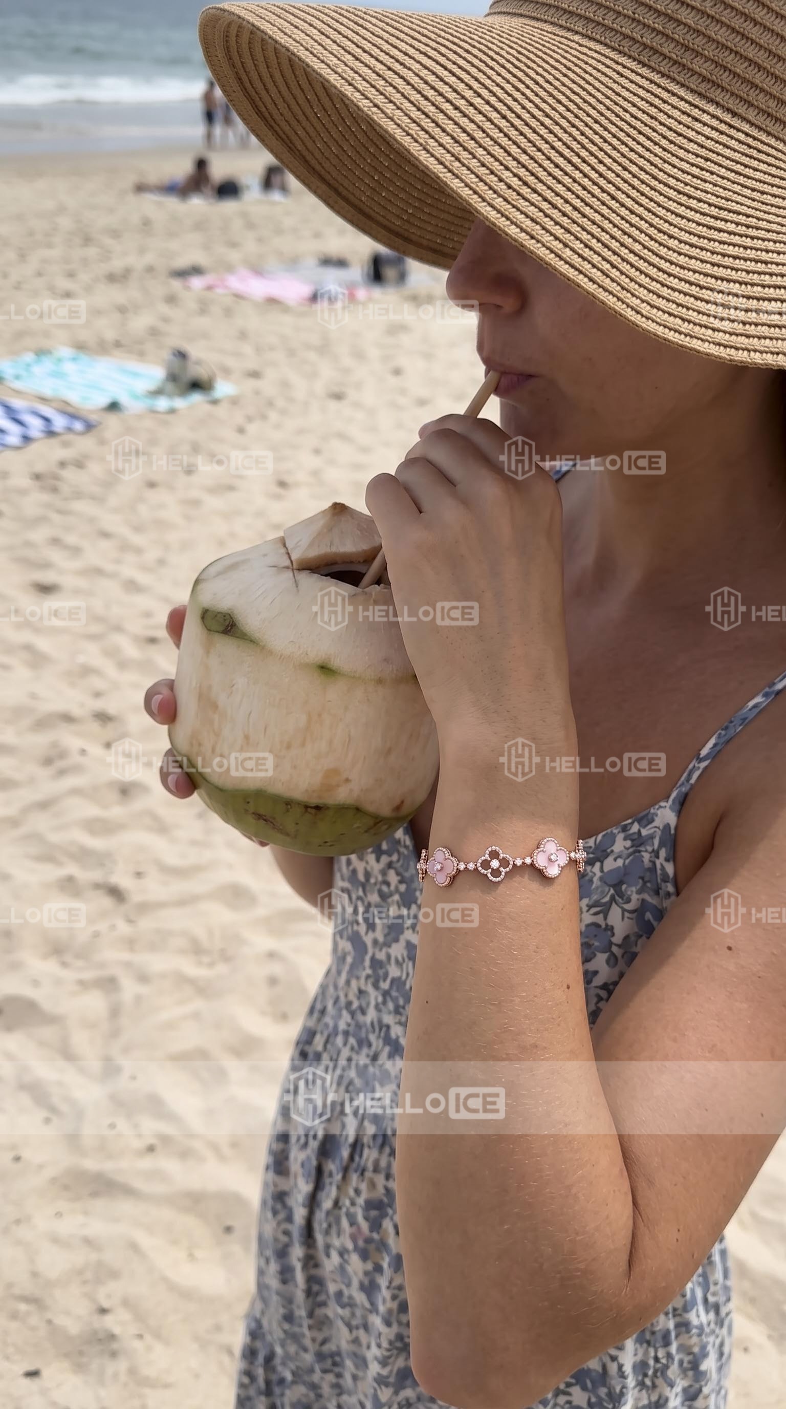 Helloice Review Image