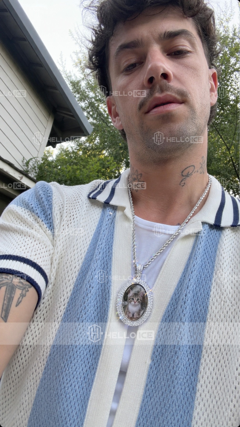 Helloice Review Image