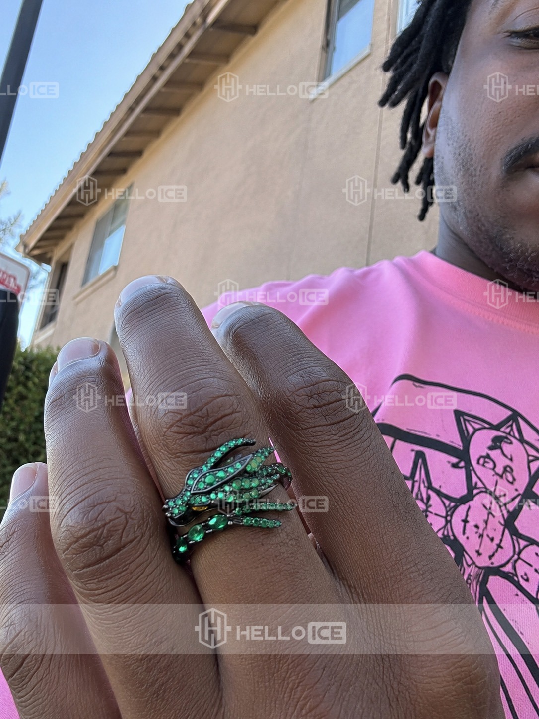 Helloice Review Image