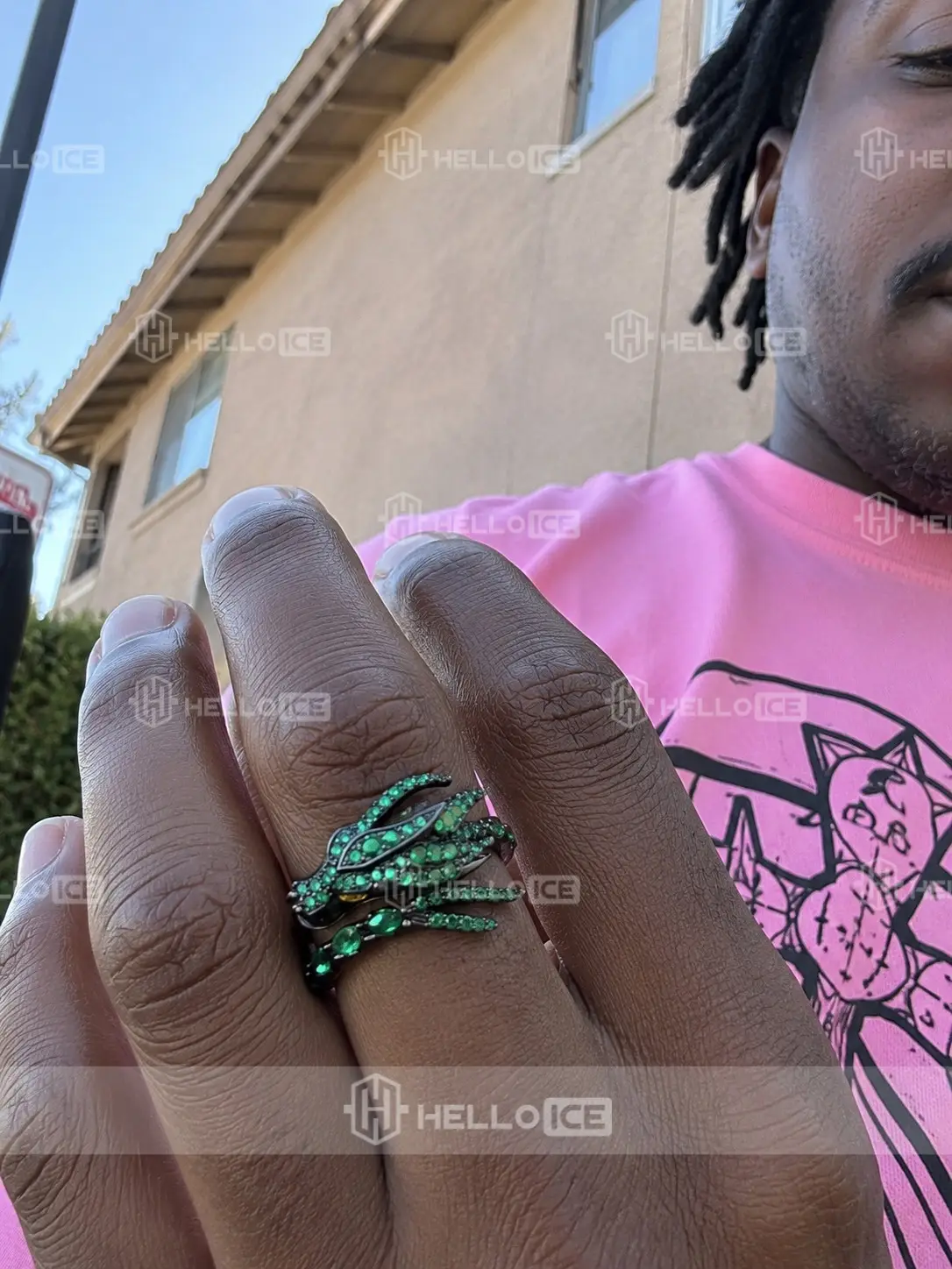 Helloice Review Image