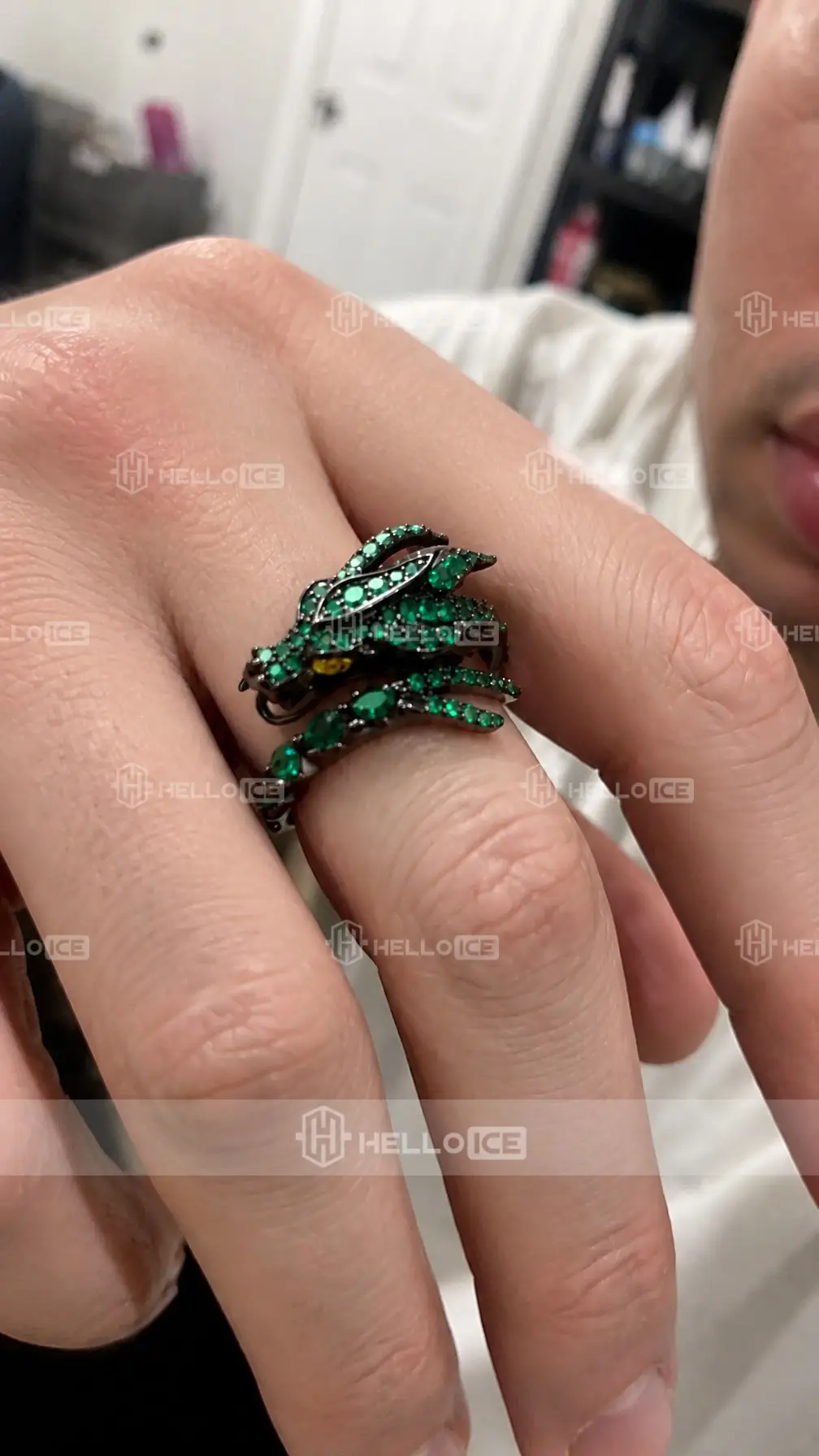 Helloice Review Image