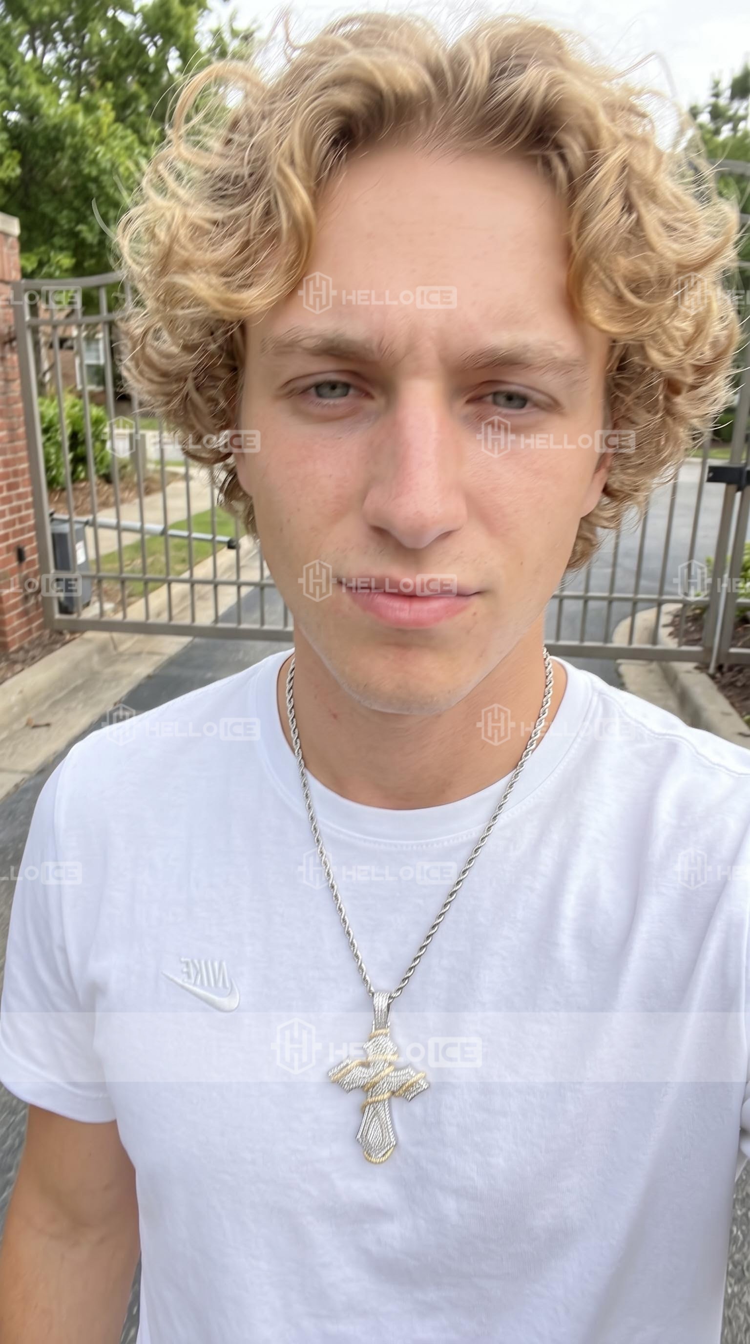Helloice Review Image