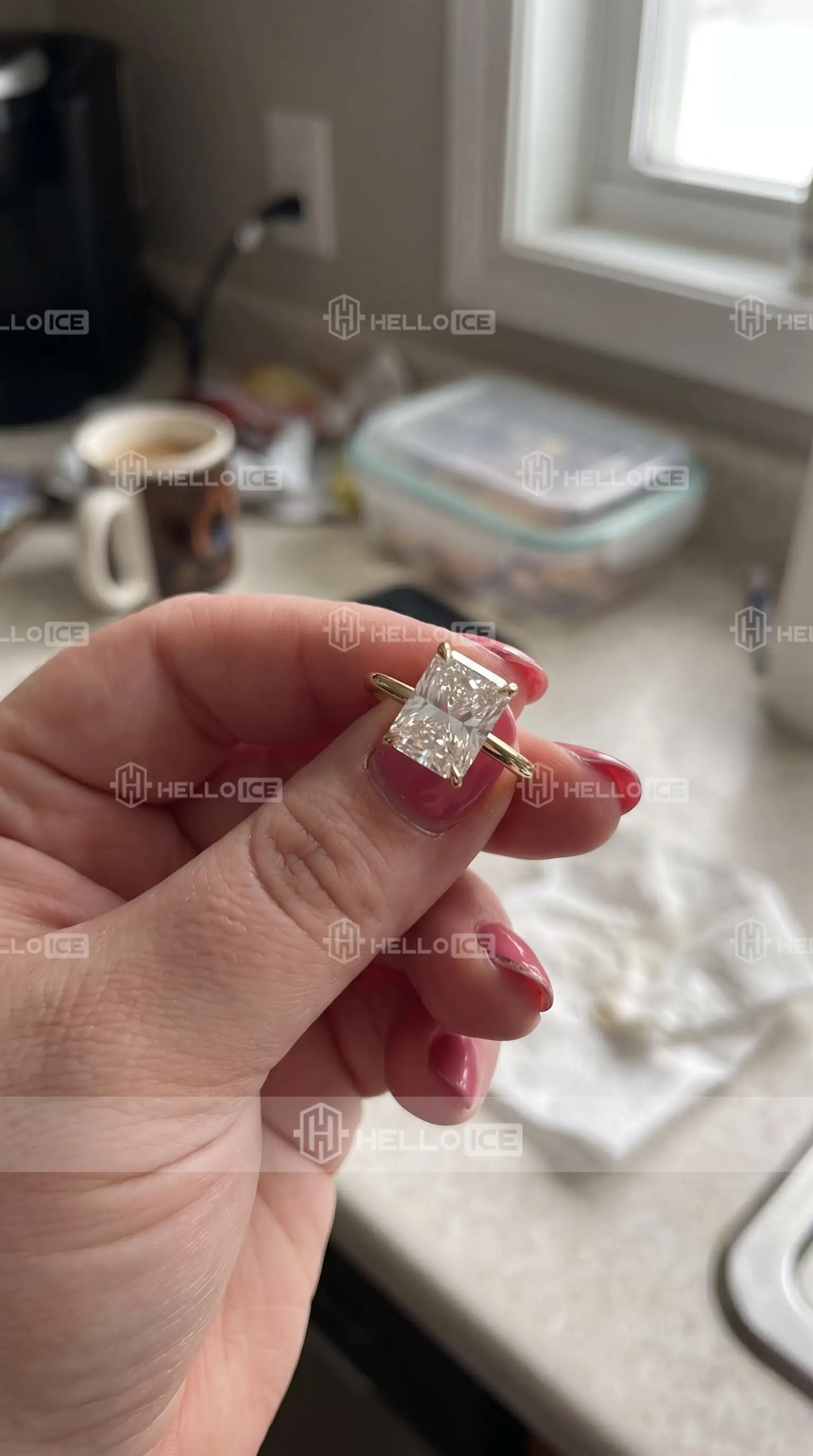 Helloice Review Image