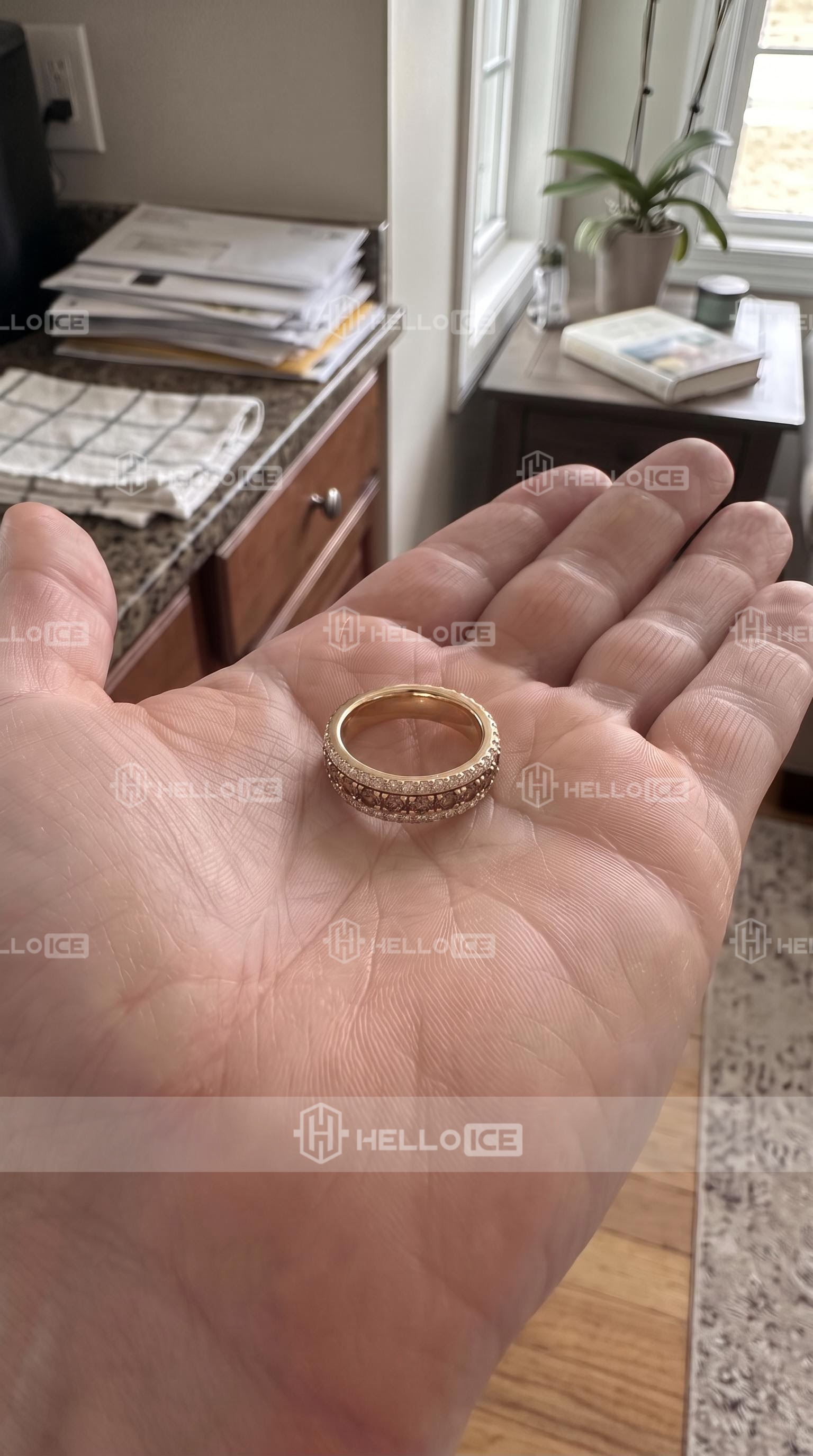 Helloice Review Image