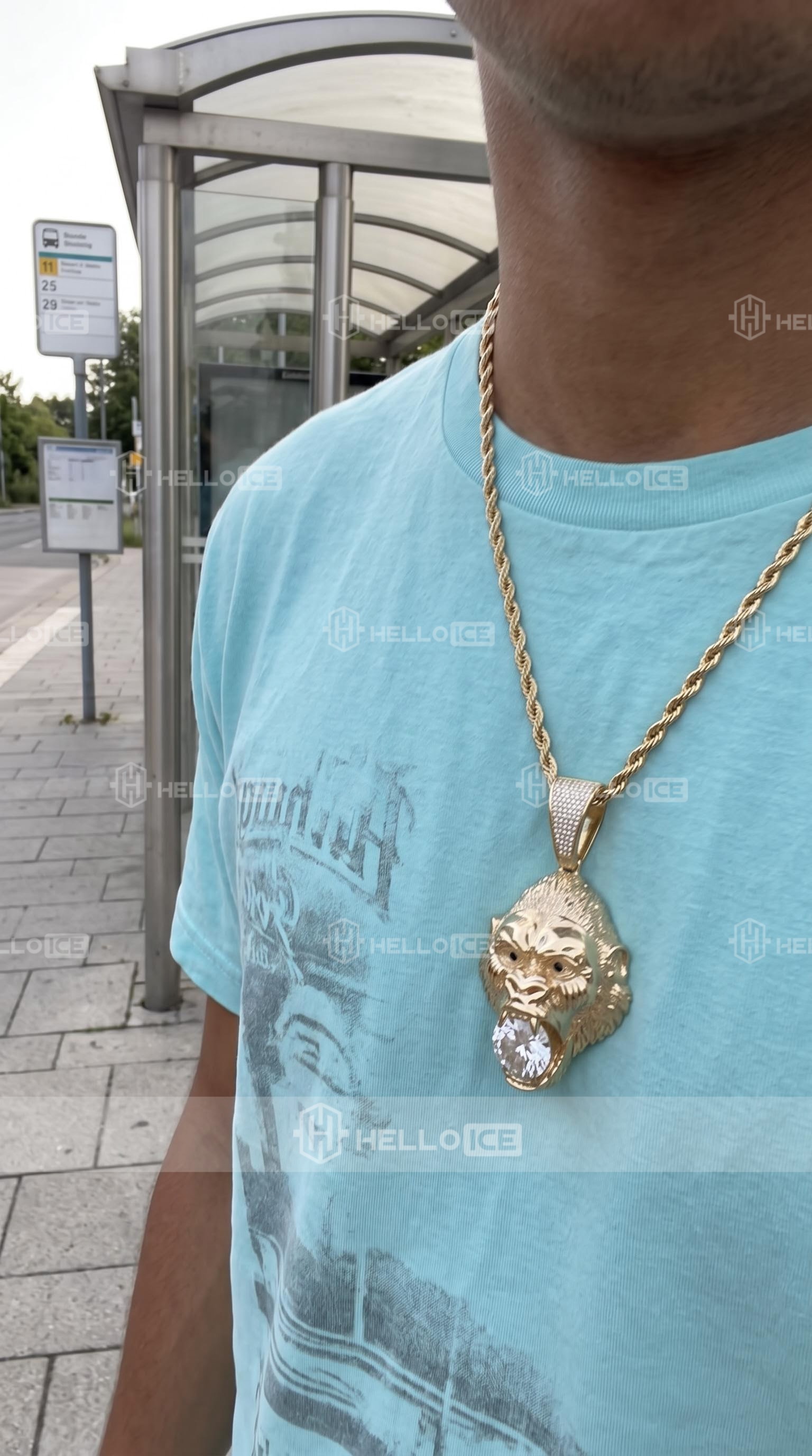 Helloice Review Image
