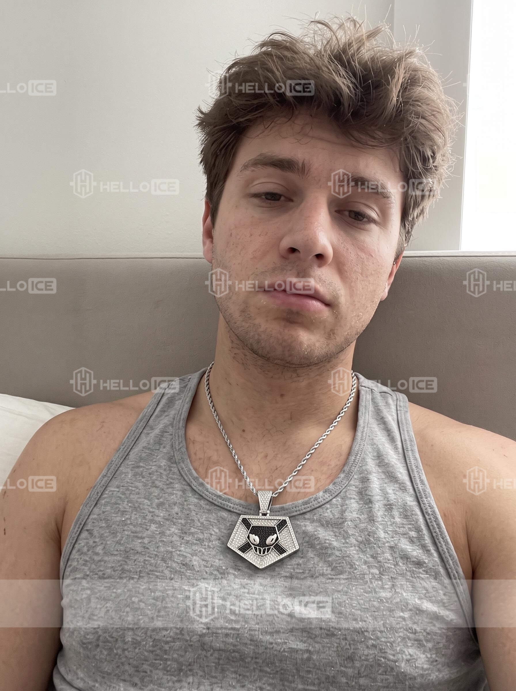 Helloice Review Image