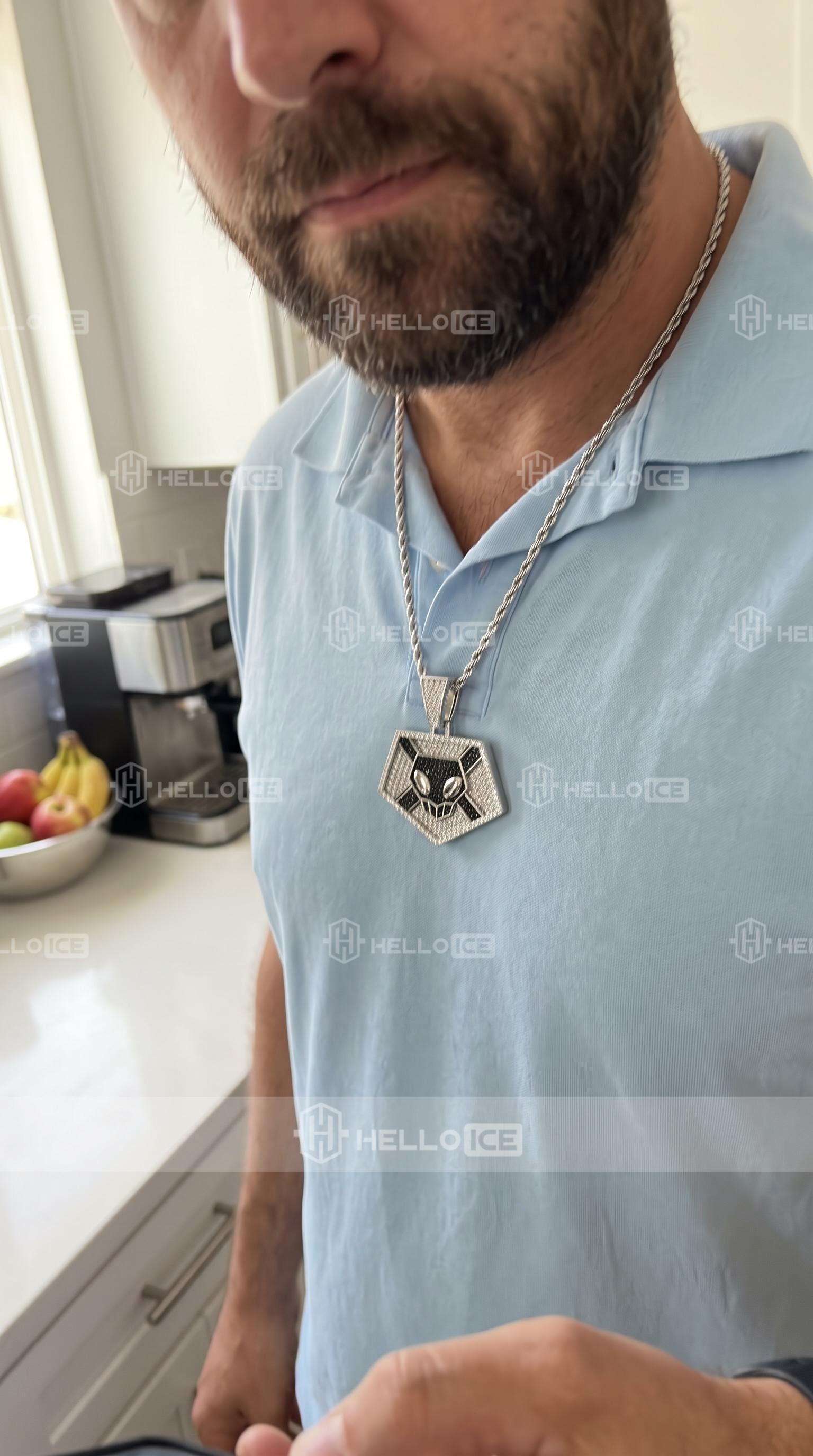 Helloice Review Image