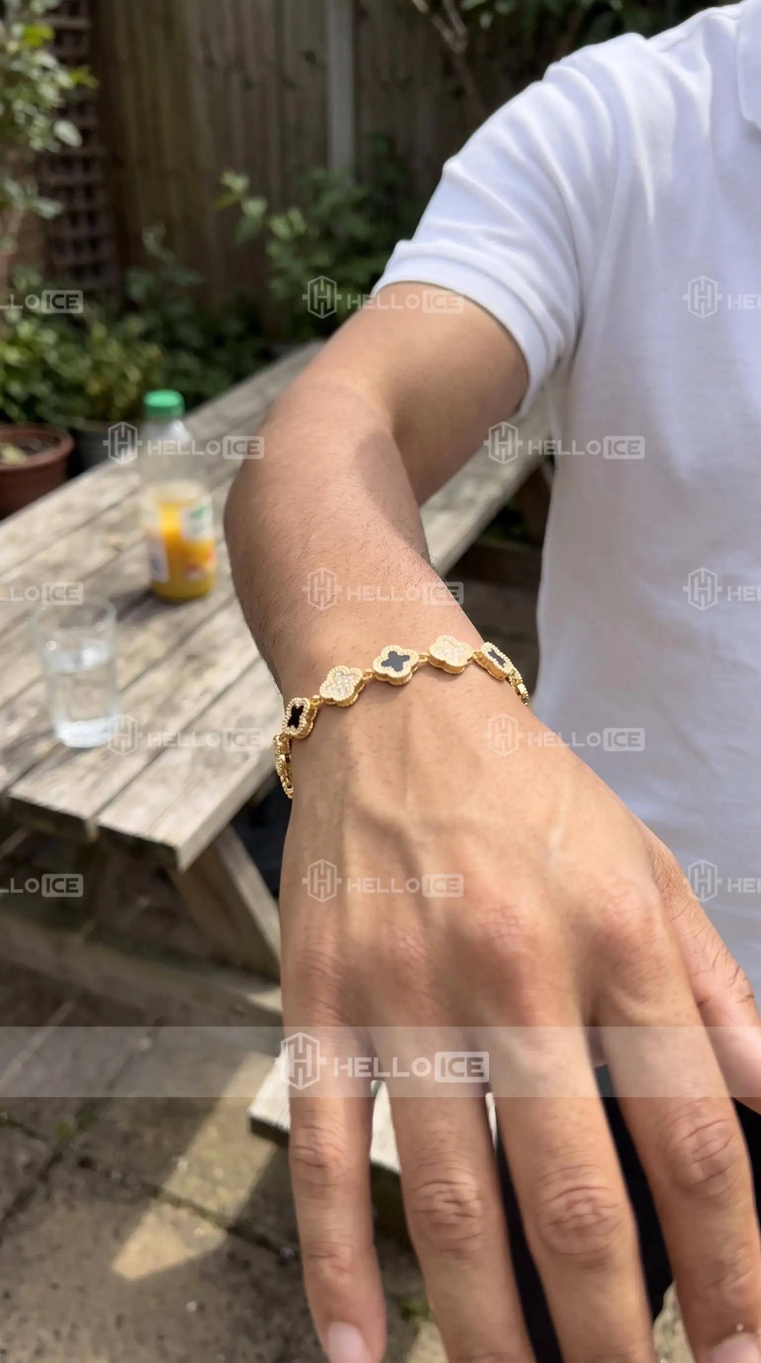 Helloice Review Image