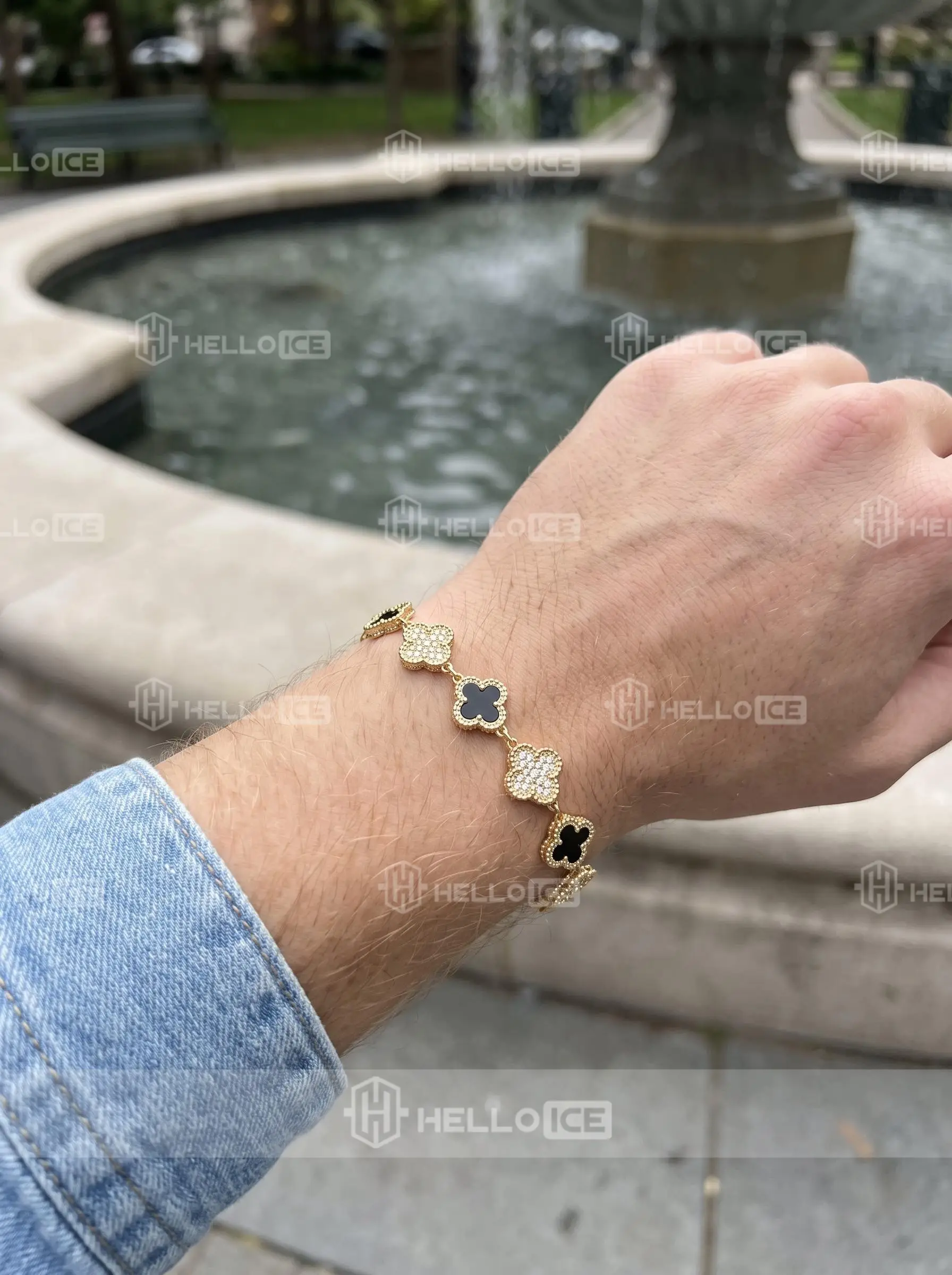 Helloice Review Image