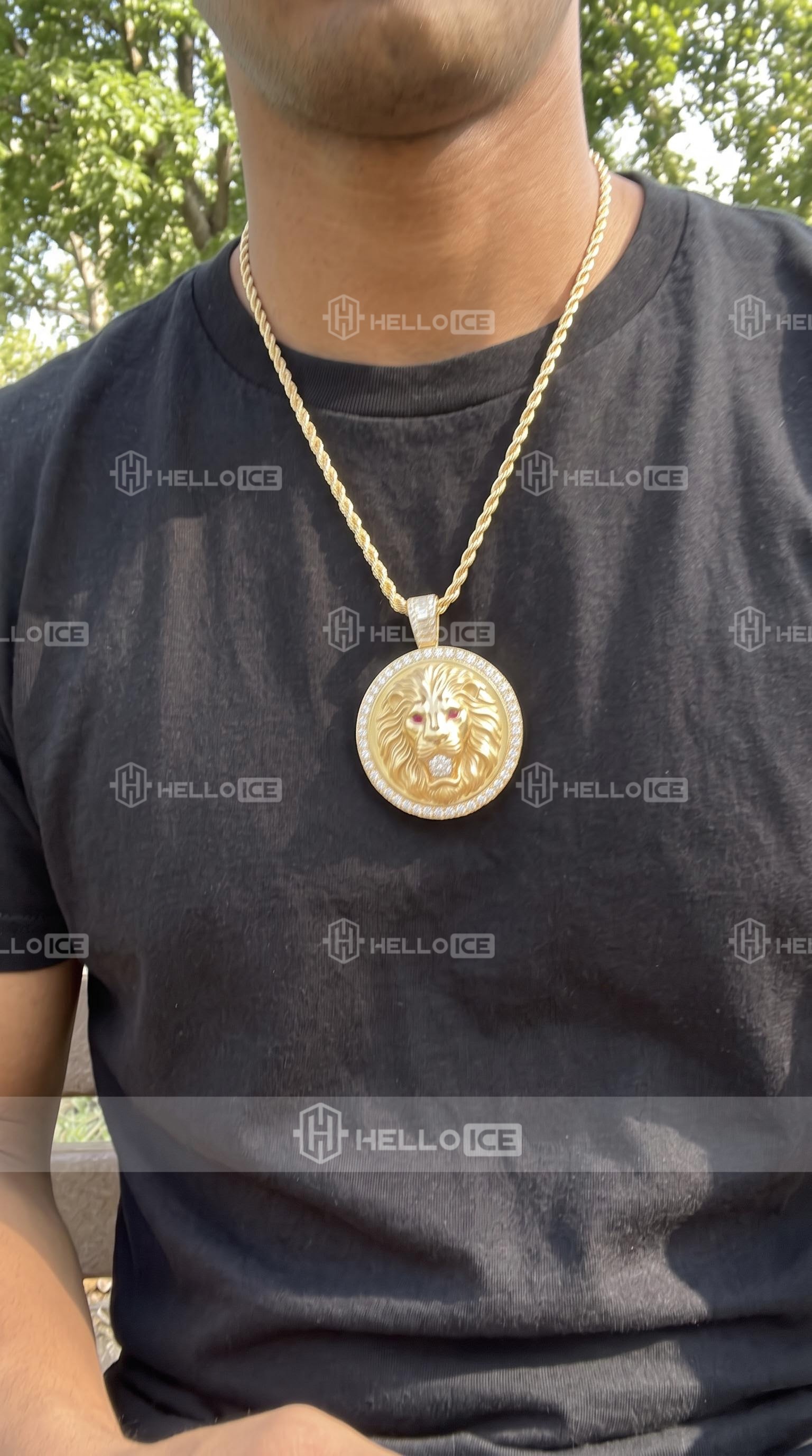 Helloice Review Image