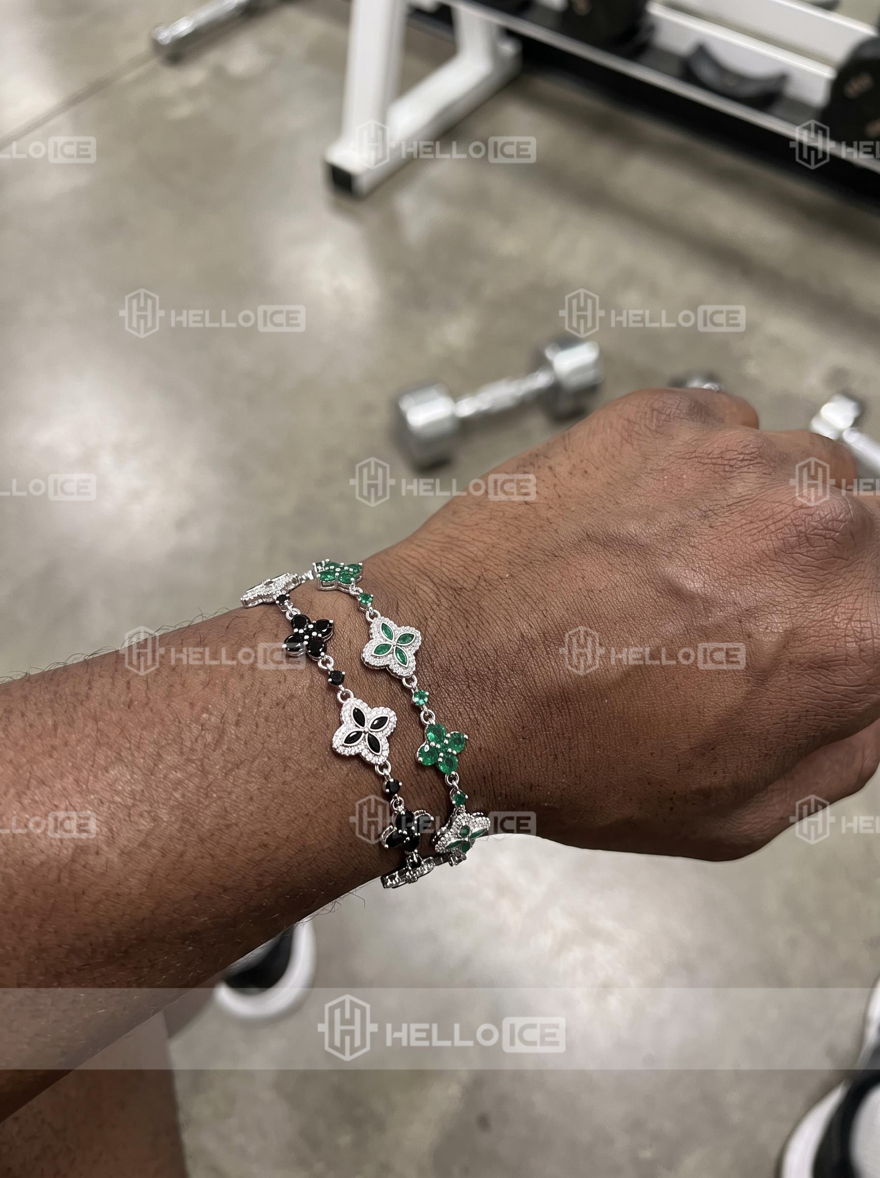 Helloice Review Image