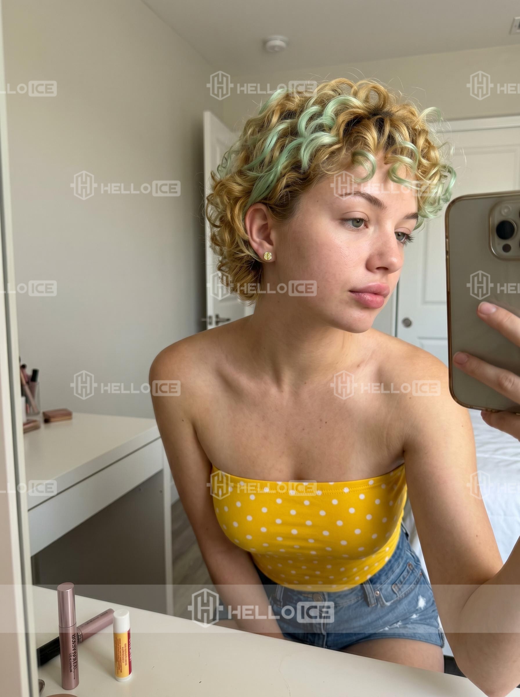 Helloice Review Image