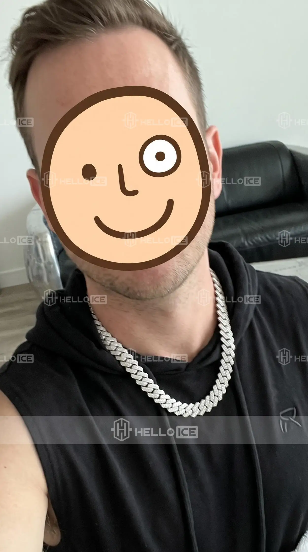 Helloice Review Image
